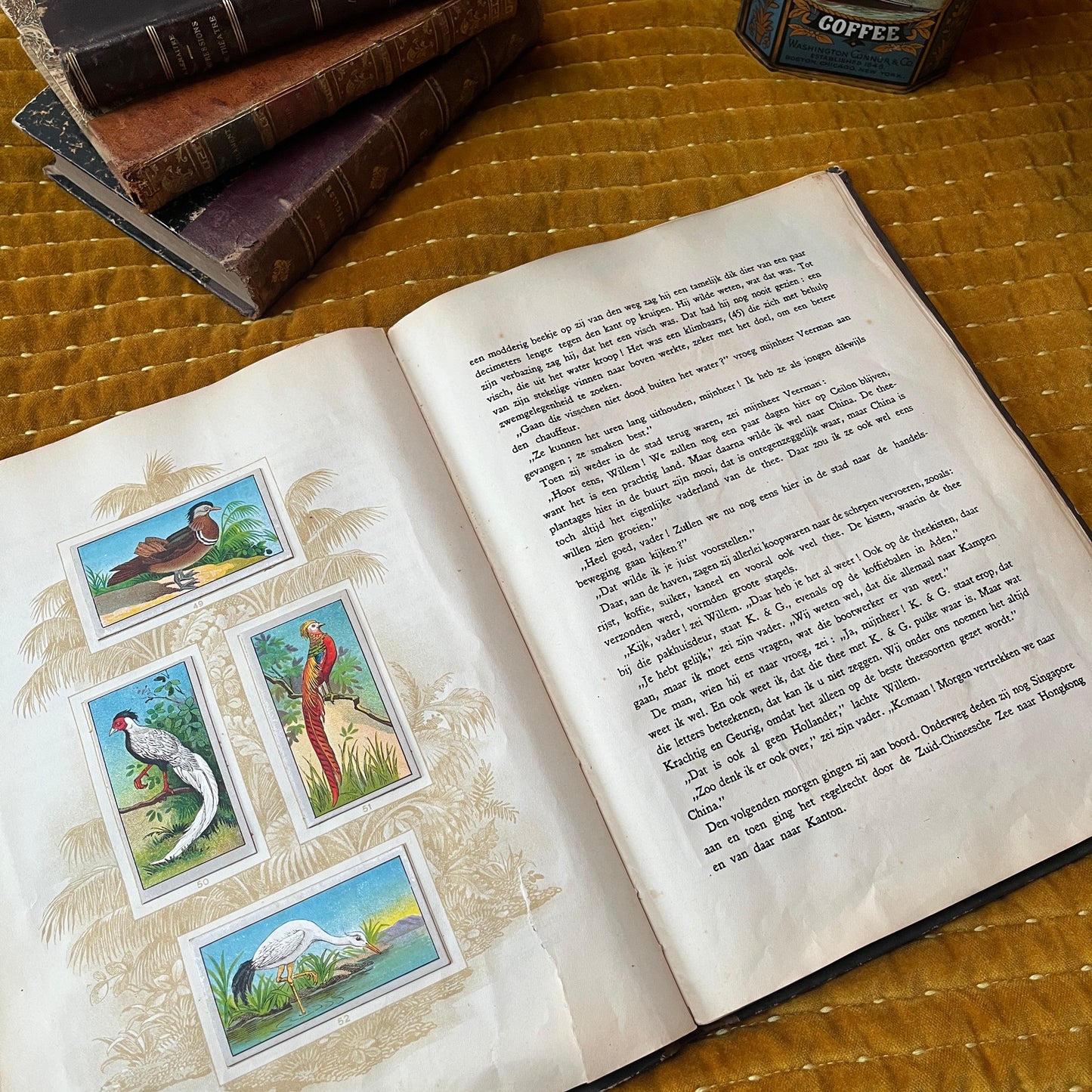 Das Buch der hundert Tiere. Eine Reise um die Welt. 1929