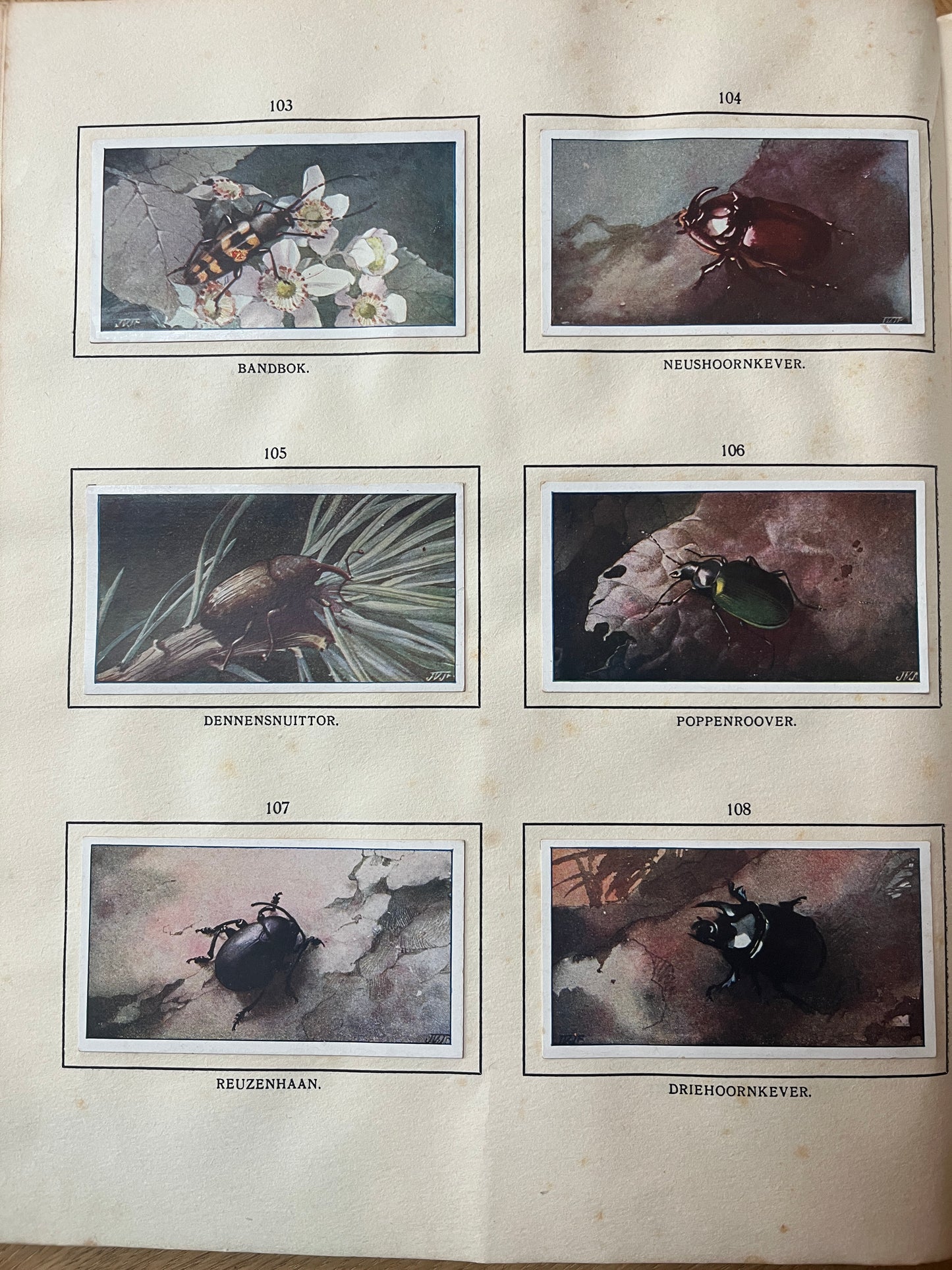 6 Verkade-Bilder Bosch und Heide 1913 (103-108)