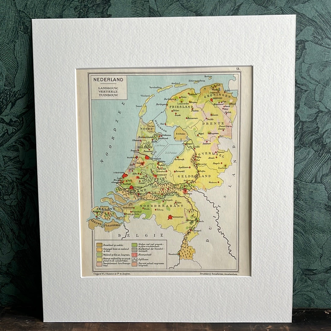 Nederland (landbouw, veeteelt, tuinbouw) 1948