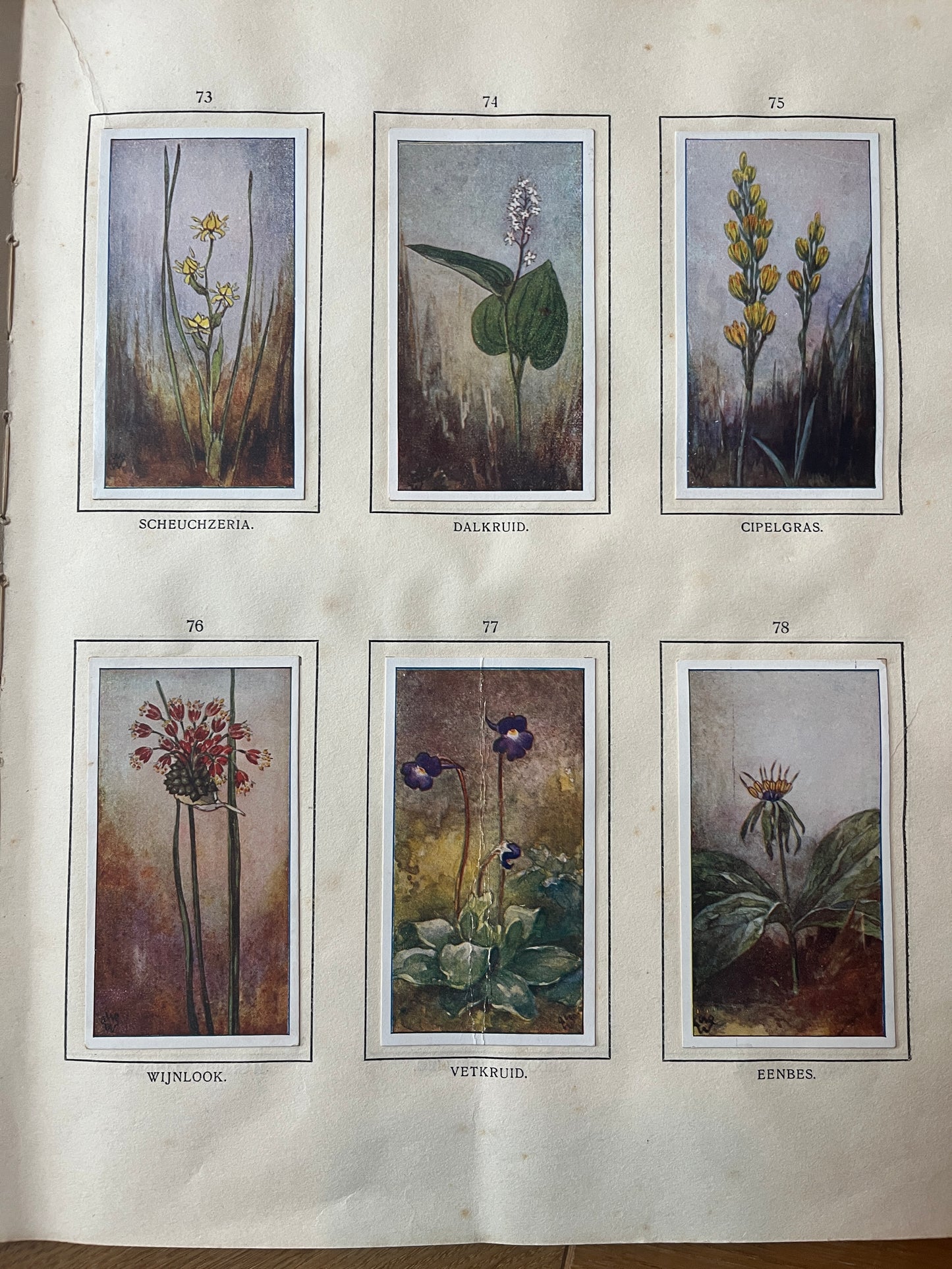 6 Verkade-Bilder Bosch und Heide 1913 (73-78)