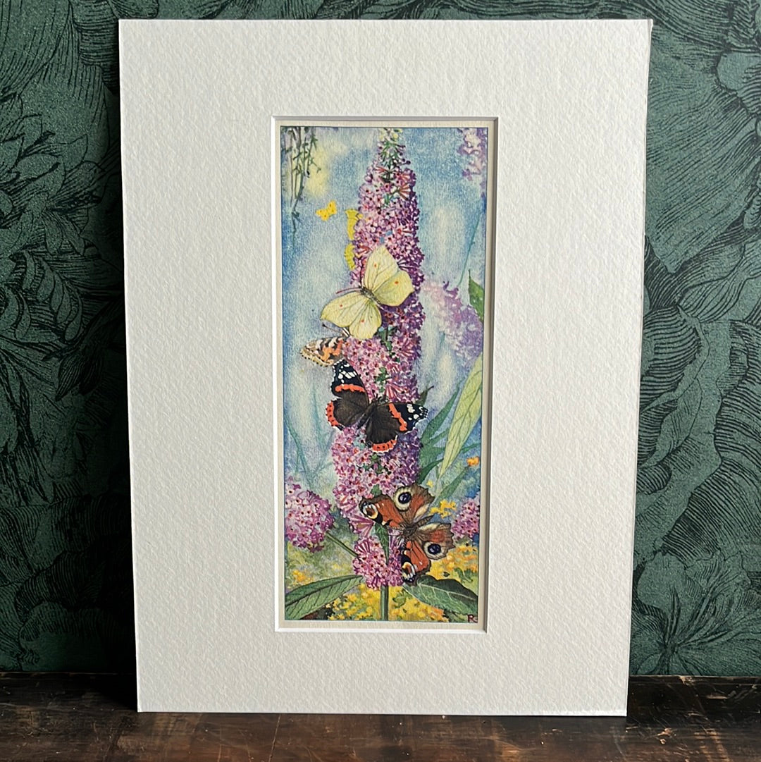 Butterflies on butterfly bush 1934