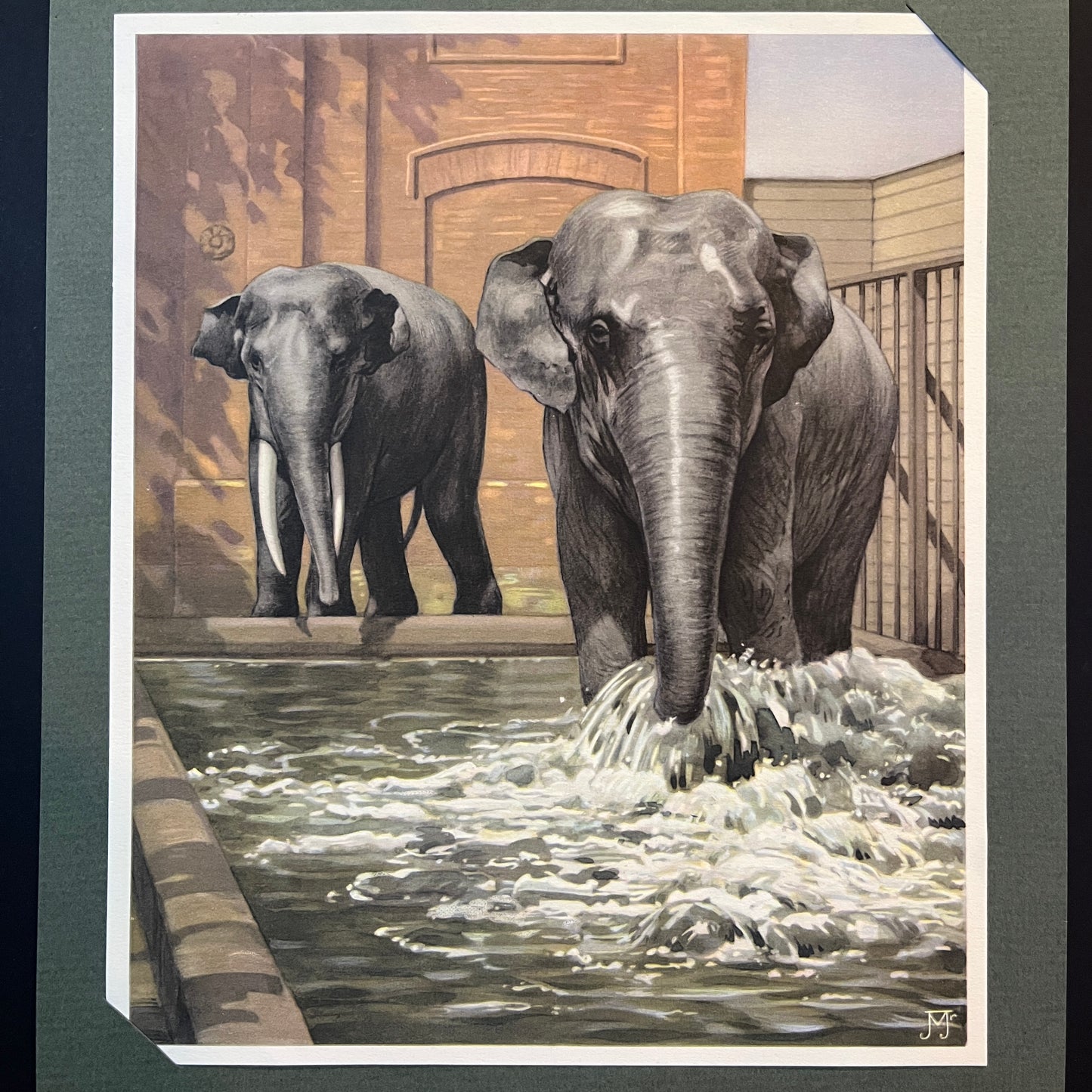 Indische Elefanten. Aus dem Verkade-Album „Affen und Huftiere in Artis“ von 1938.