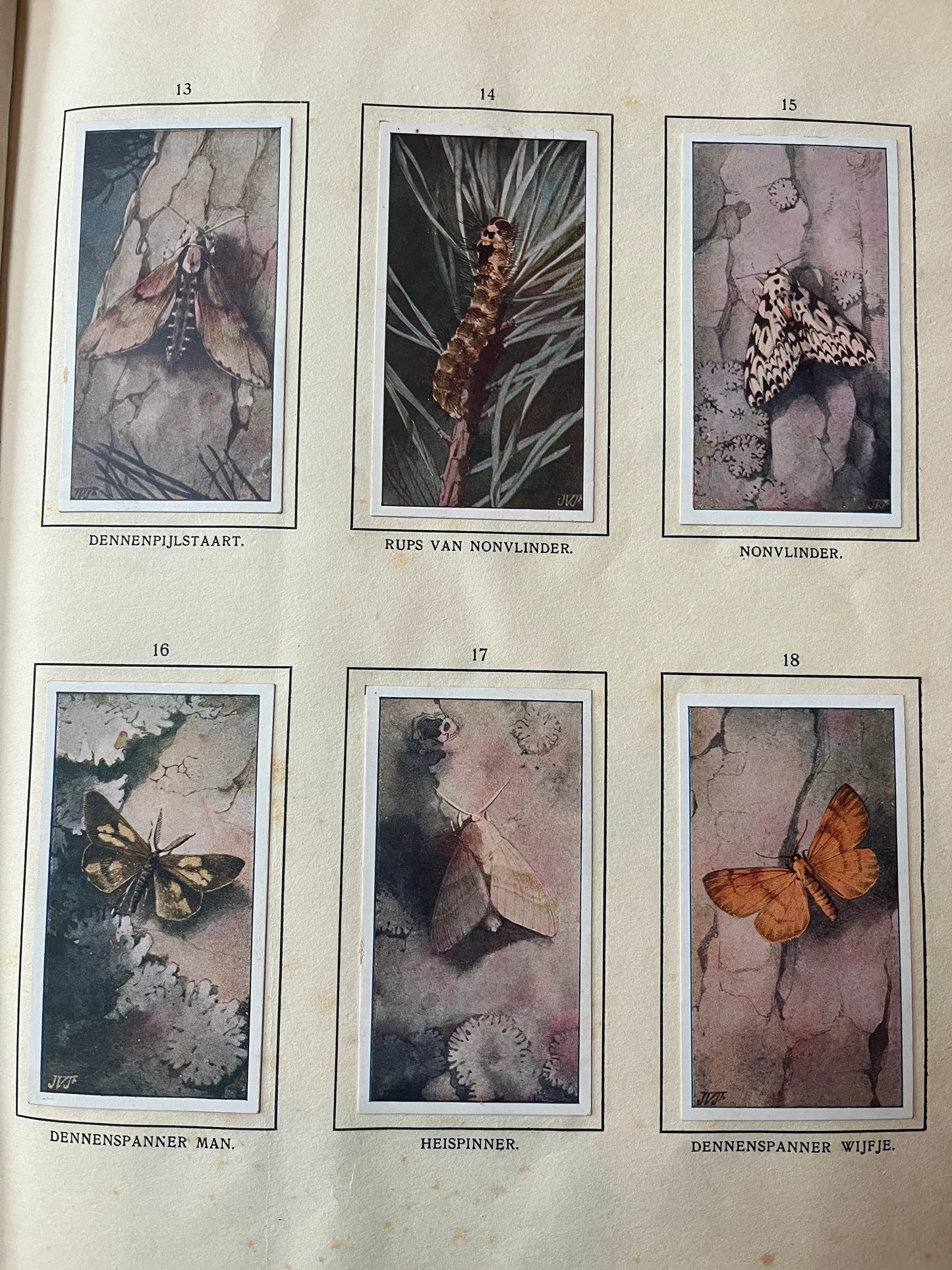 6 Verkade-Bilder Bosch und Heide 1913 (13-18)