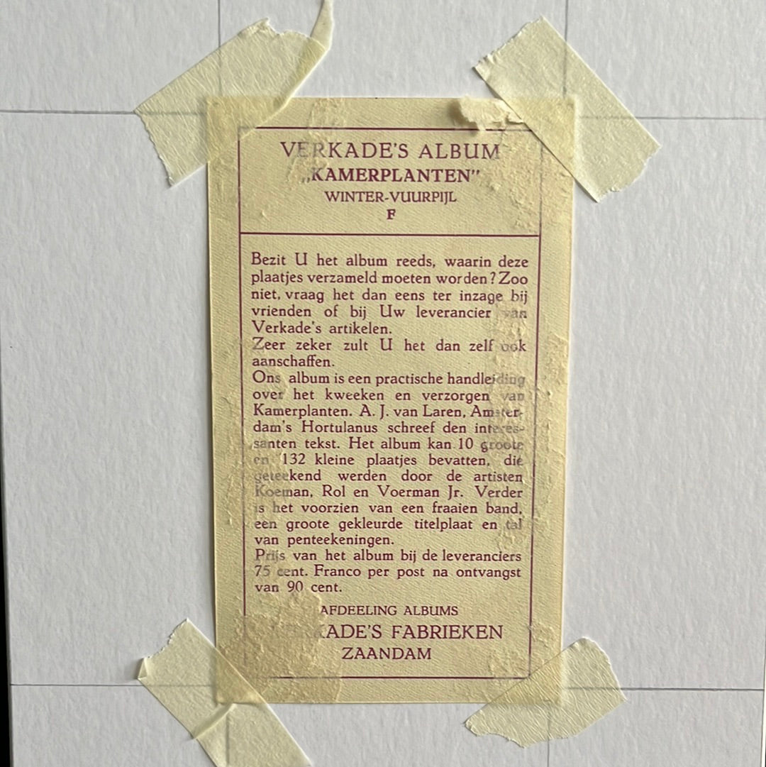 Winter-vuurpijl 1928