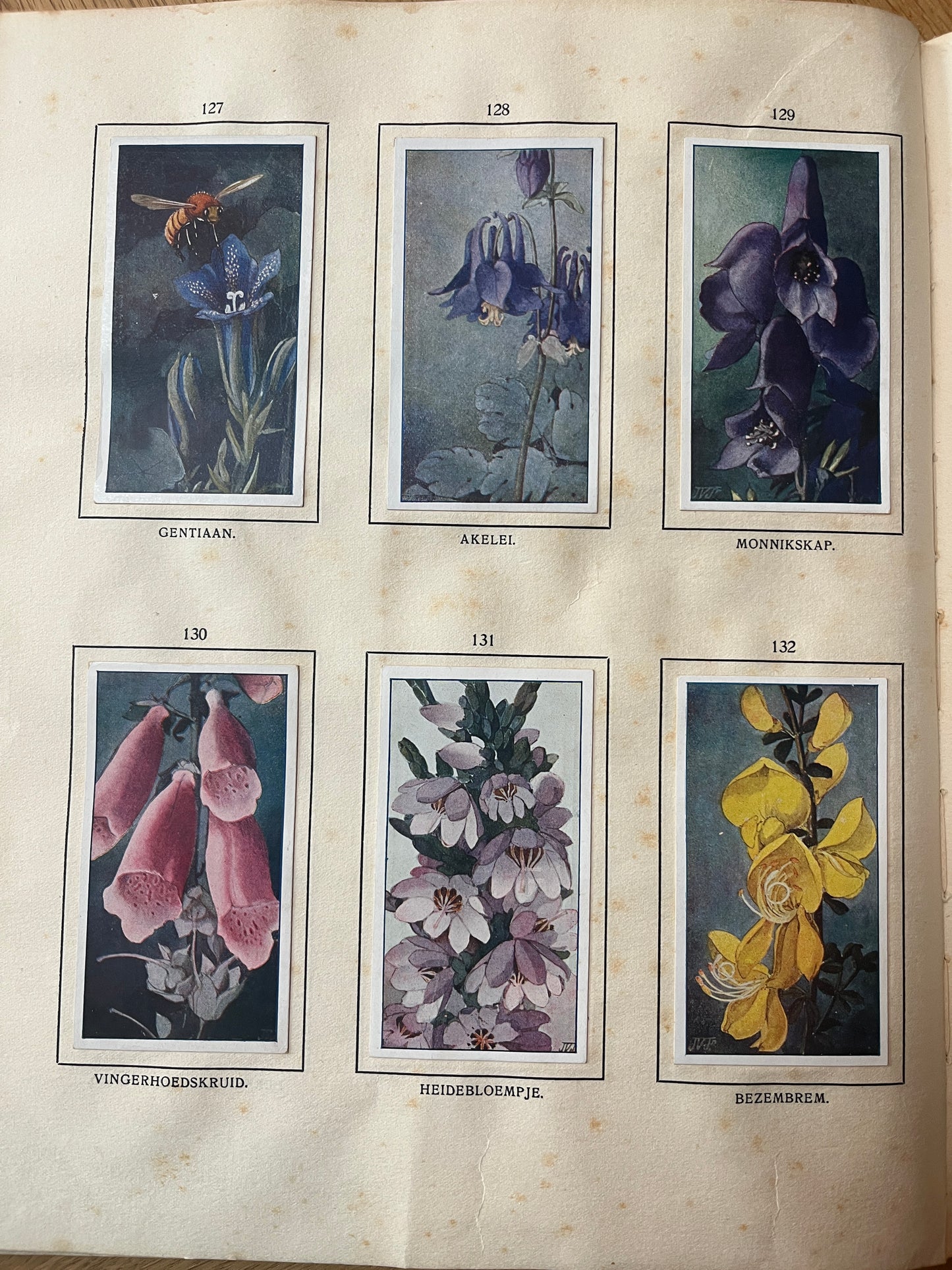 6 Verkade-Bilder Bosch und Heide 1913 (127-132)