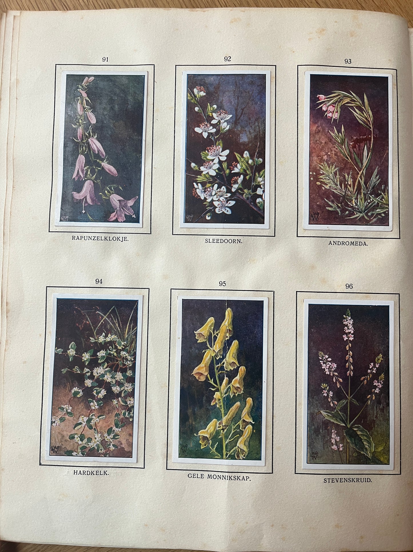 6 Verkade-Bilder Bosch und Heide 1913 (91-96)