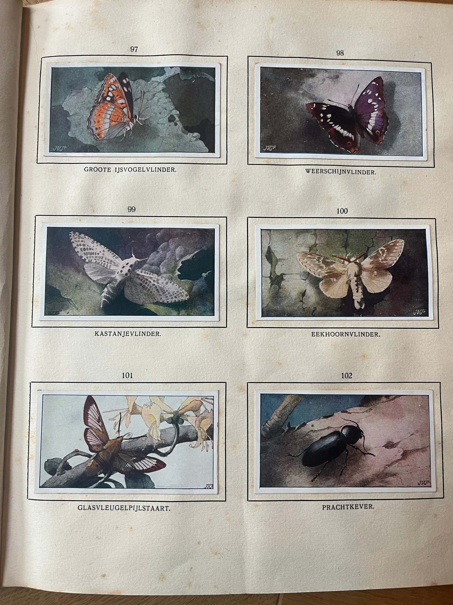 6 Verkade-Bilder Bosch und Heide 1913 (97-102)