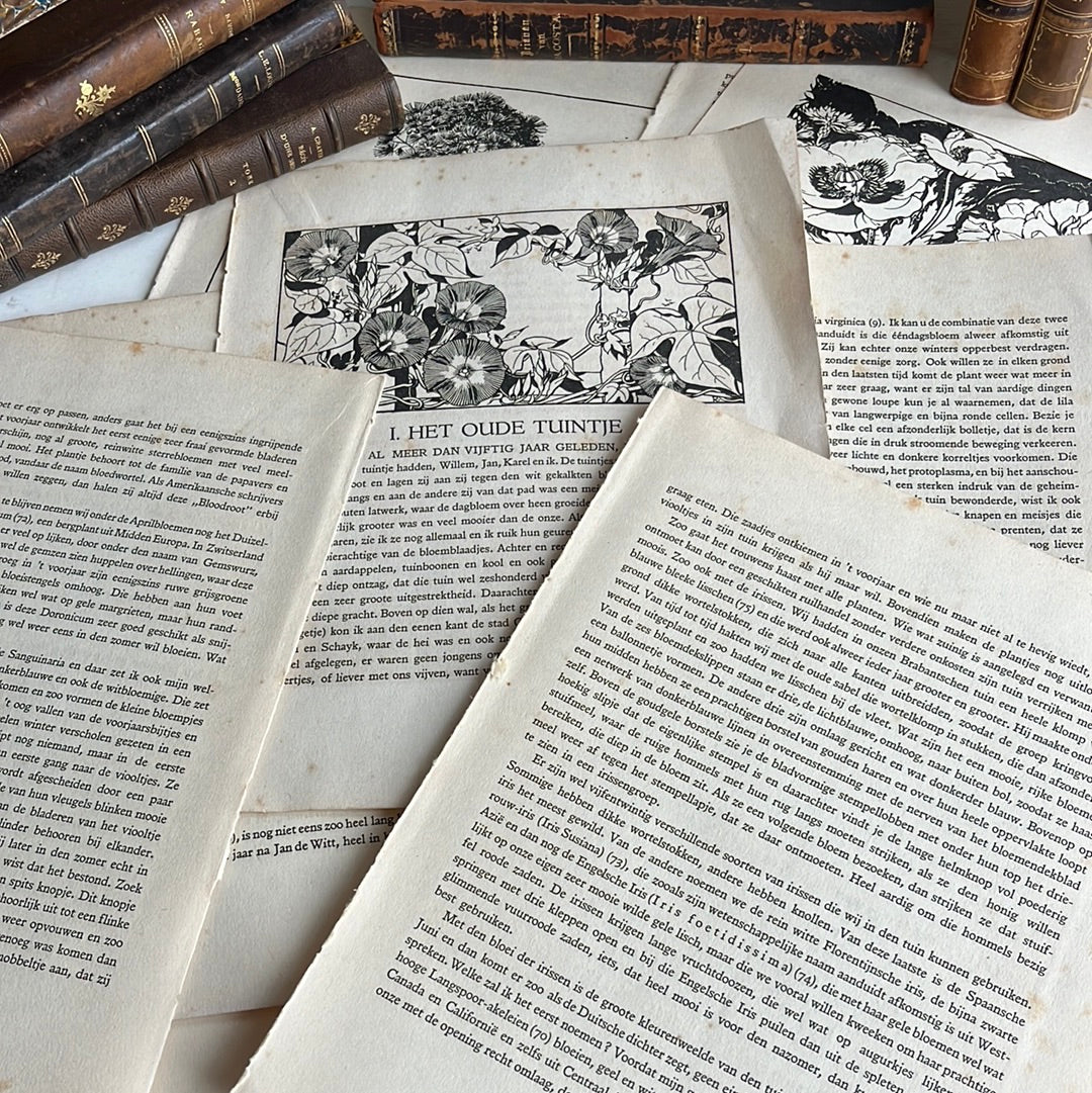 Vintage Verkade albums loose pages