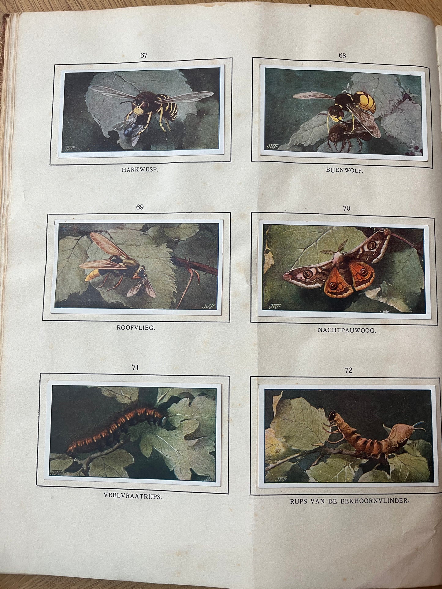 6 Verkade-Bilder Bosch und Heide 1913 (67-72)