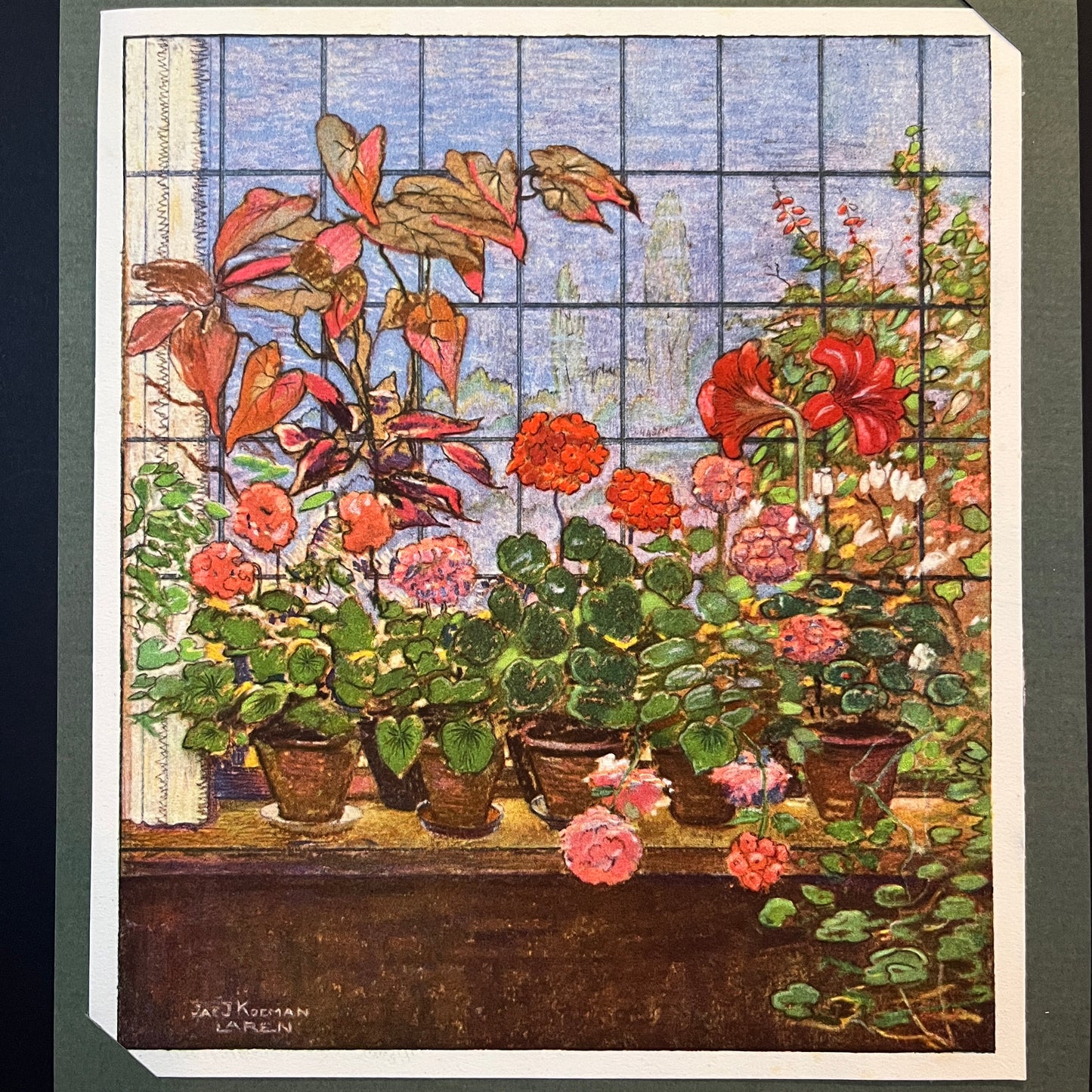 Tafel Nr. 1 aus dem Verkade-Album „Zimmerpflanzen“ von 1928.