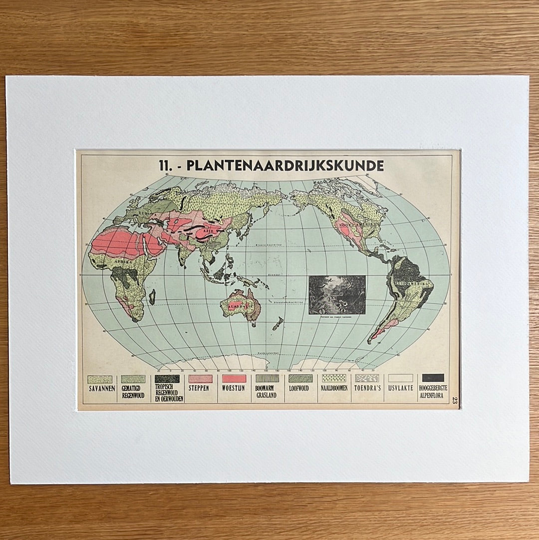 Plantenaardrijkskunde 1939