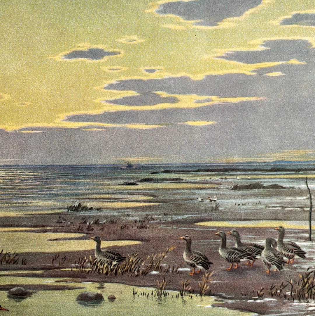 Plate 24: Hollandsch Diep in winter 1938