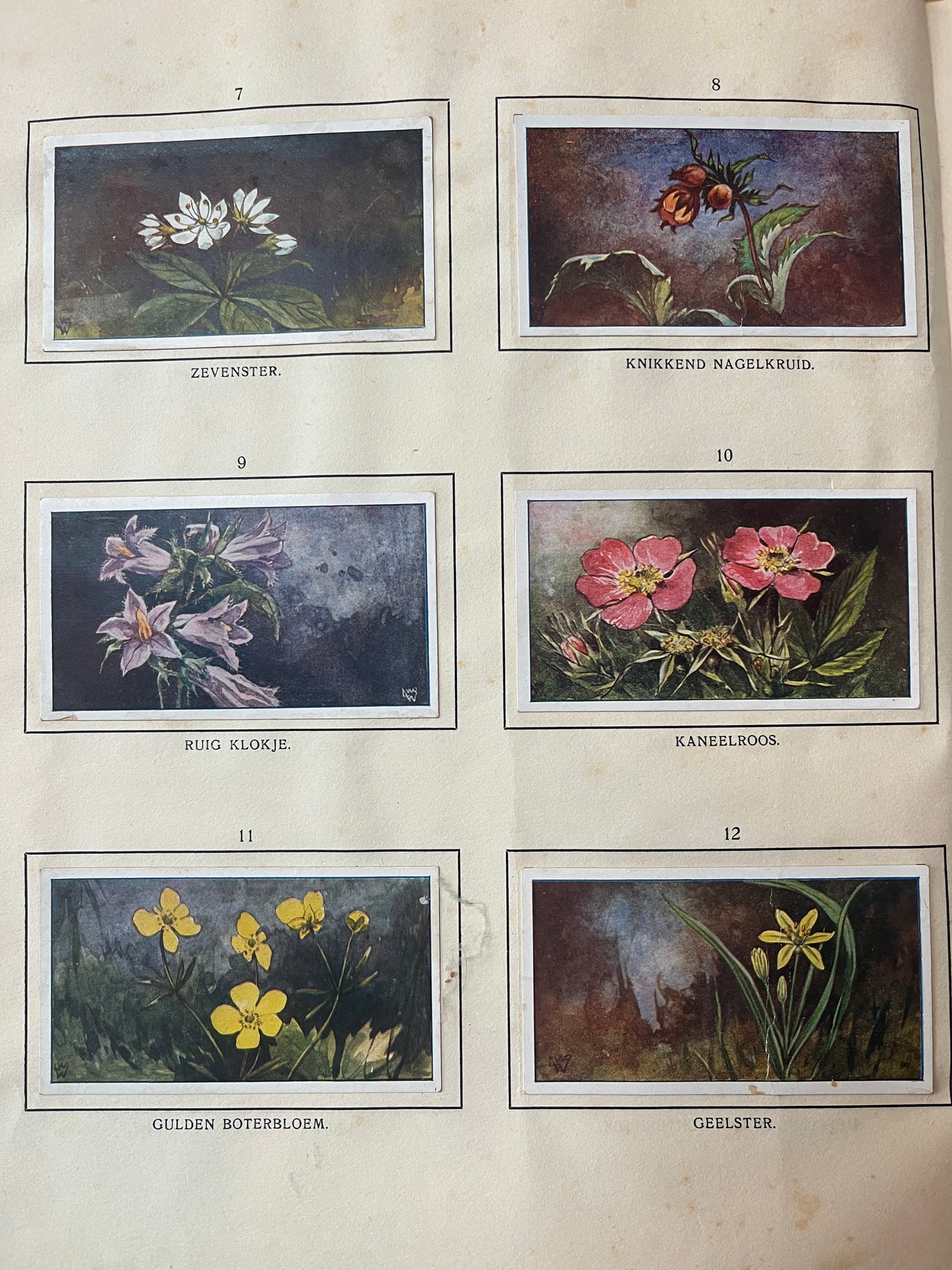 6 Verkade-Bilder Bosch und Heide 1913 (7-12)