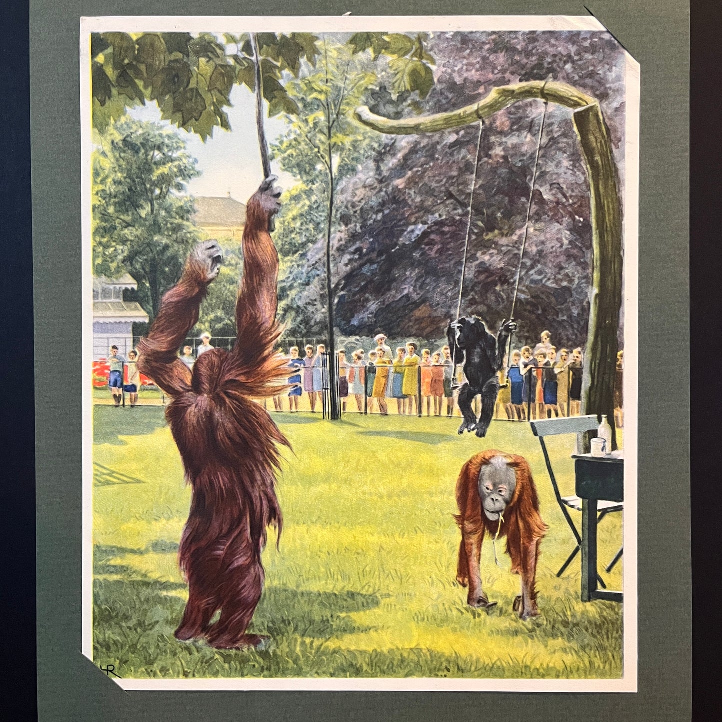 Tafel B. Auf dem Affenspielfeld. Aus dem Verkade-Album „Animal life in Artis“ von 1938.