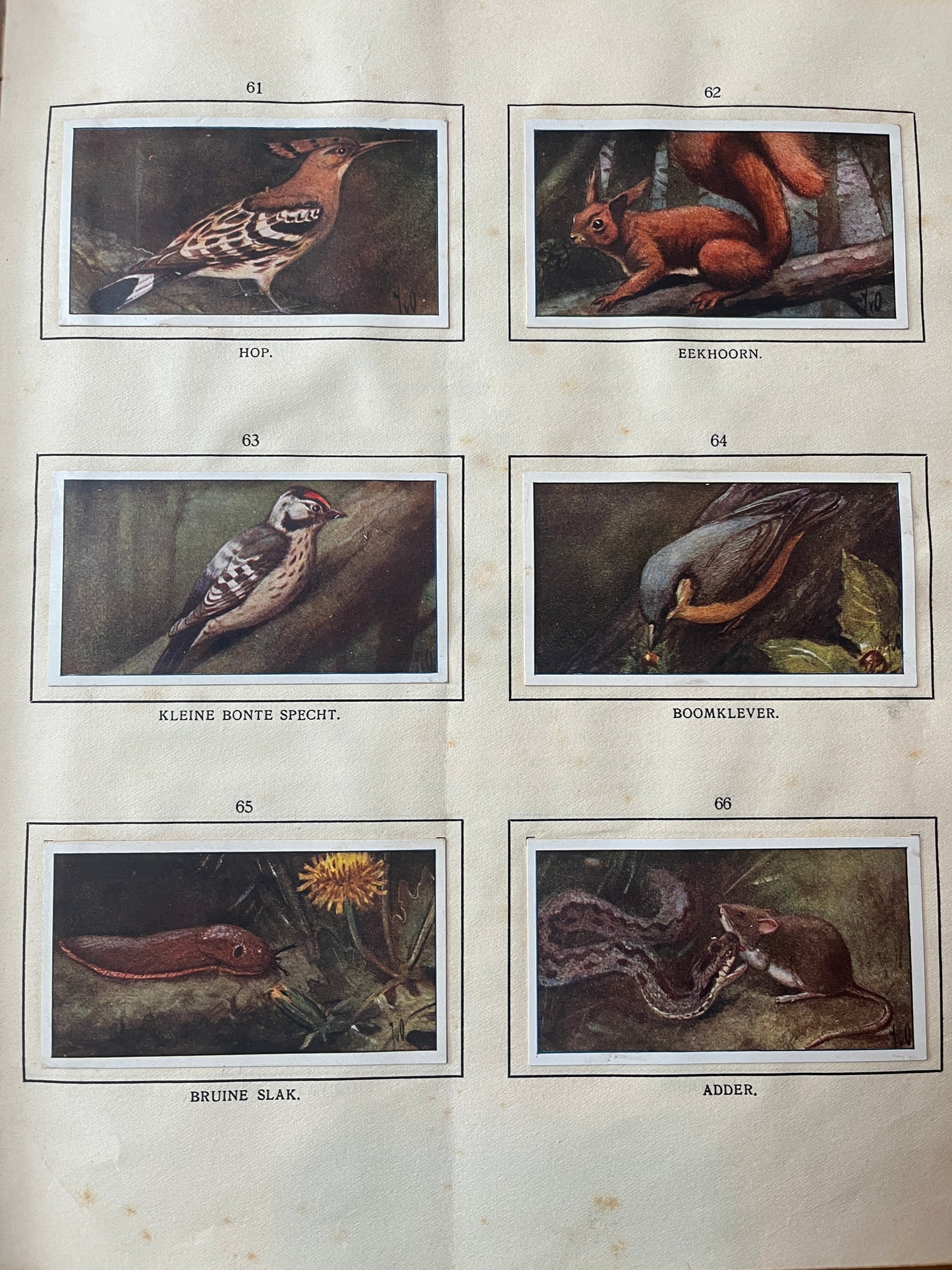 6 Verkade-Bilder Bosch und Heide 1913 (61-66)