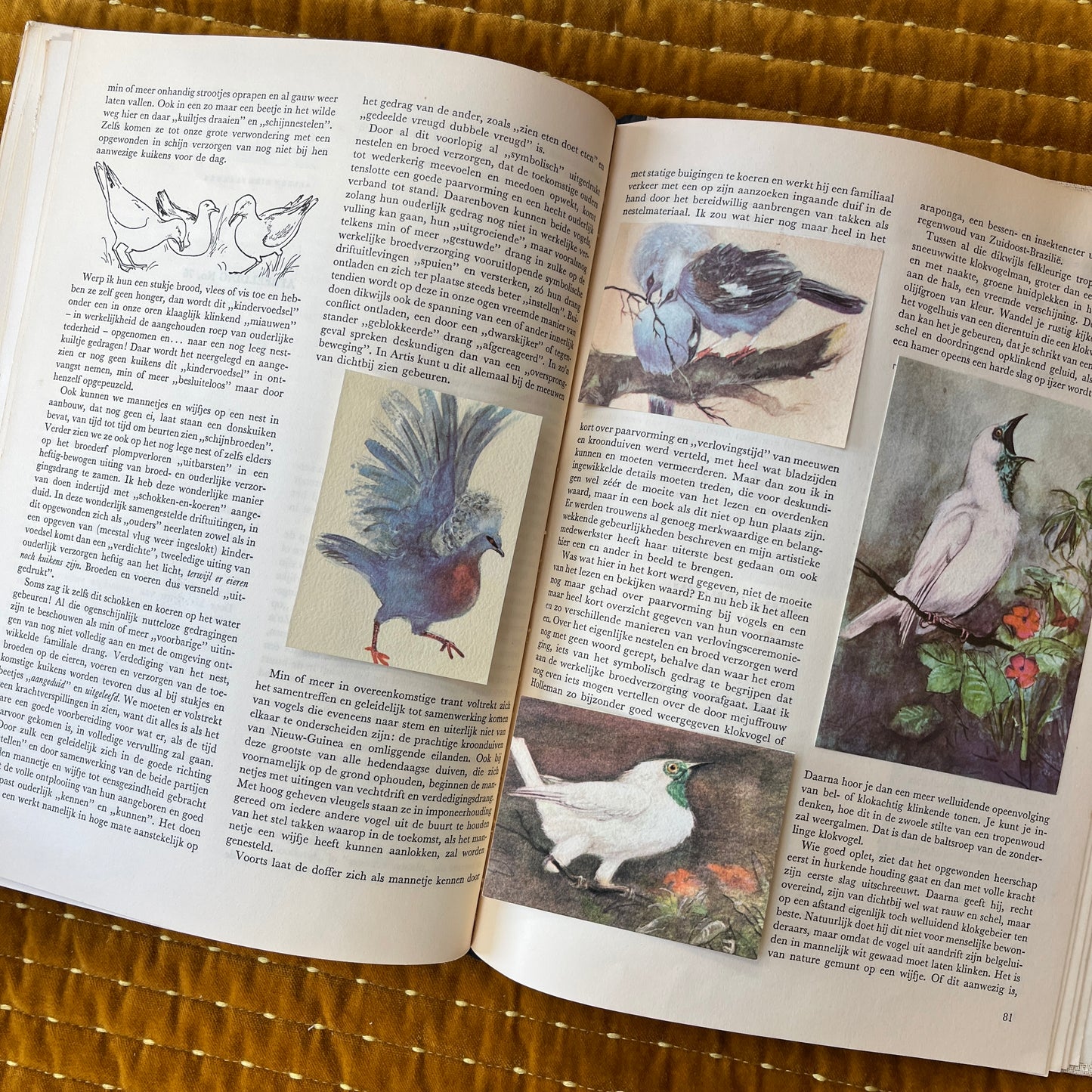 Over dieren raak ik niet uitgepraat. Plaatjesalbum 1959