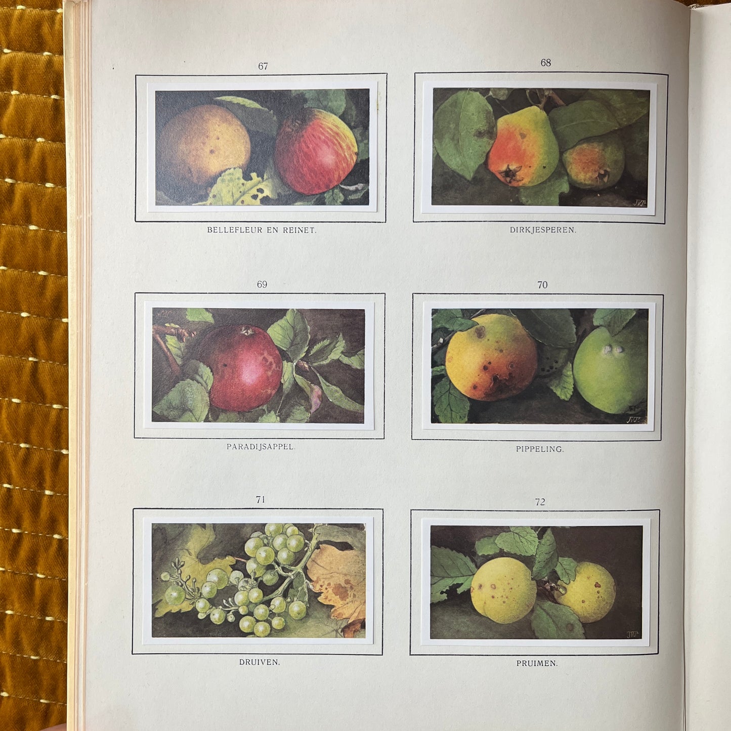 6 Verkade pictures Autumn reissue 1975 (67-72)