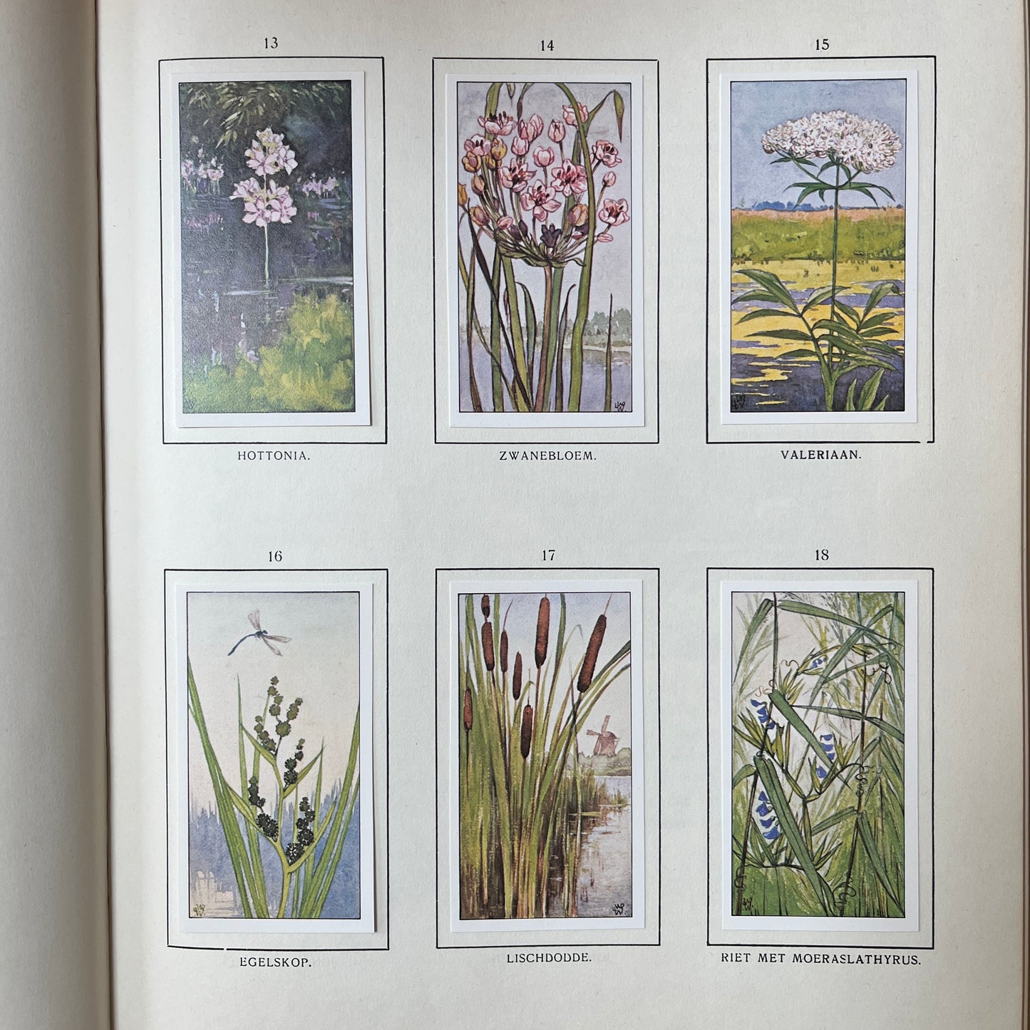 6 Verkade pictures Summer reissue 1975 (13-18)