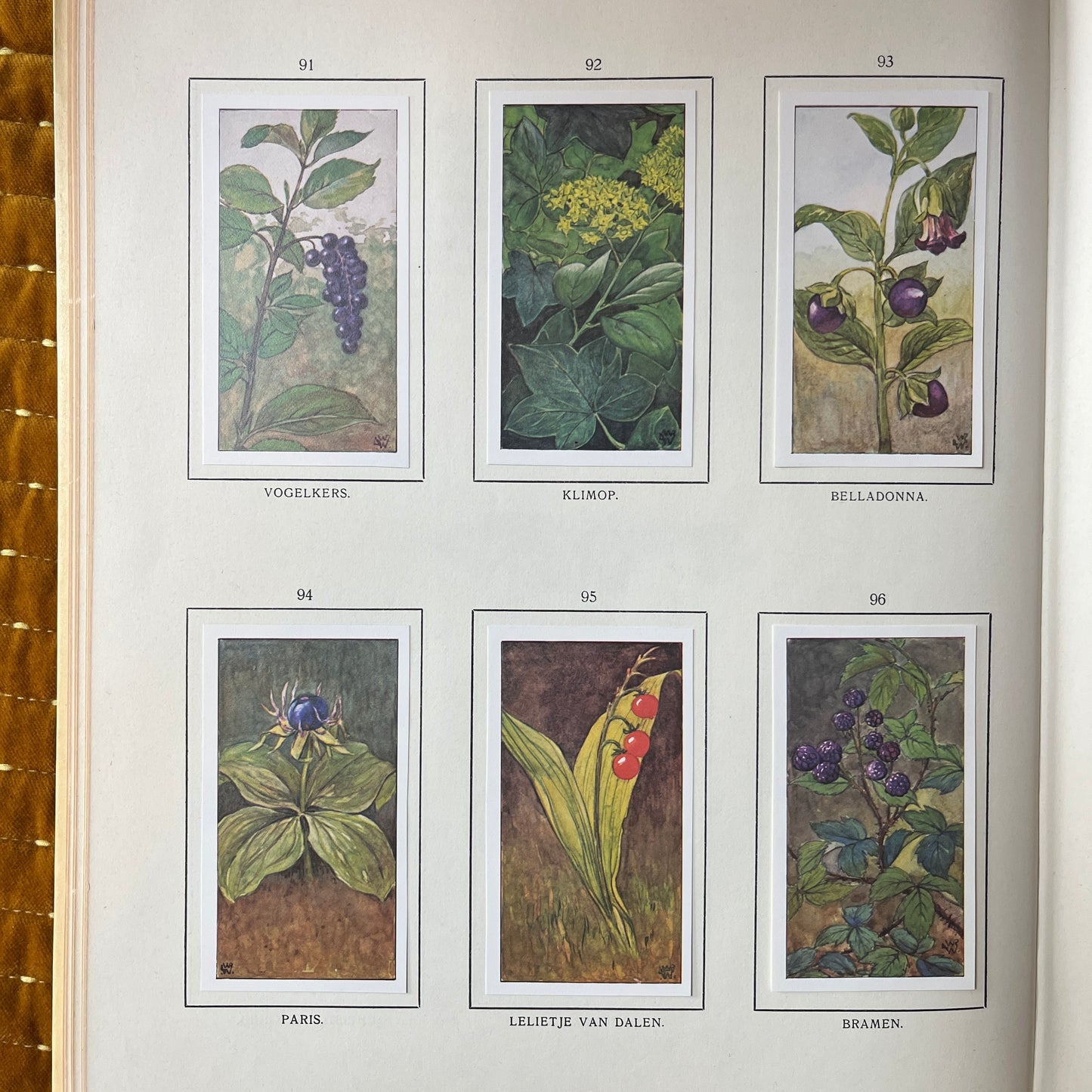 6 Verkade pictures Autumn reissue 1975 (91-96)