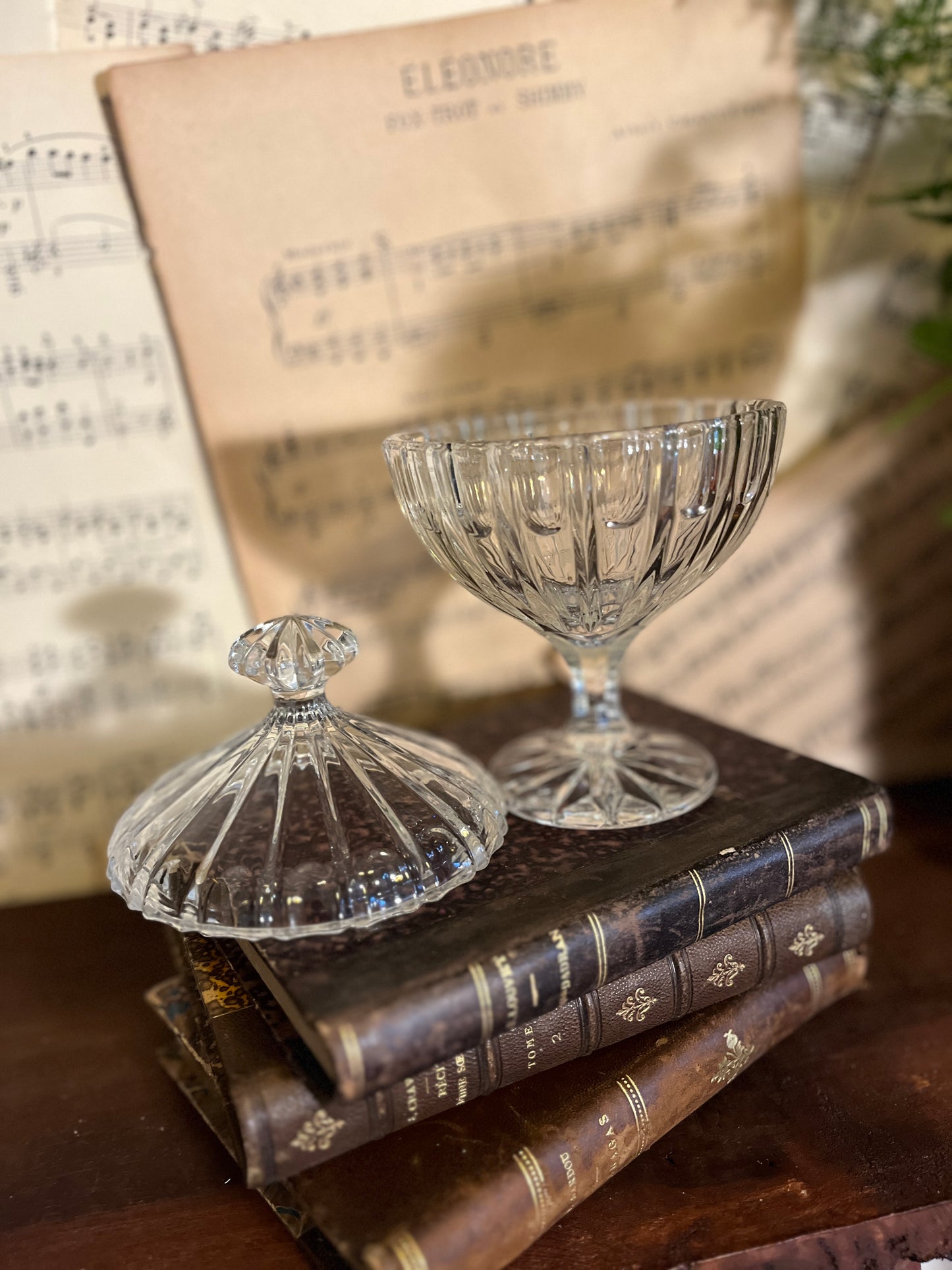 Kristallen pot coupe