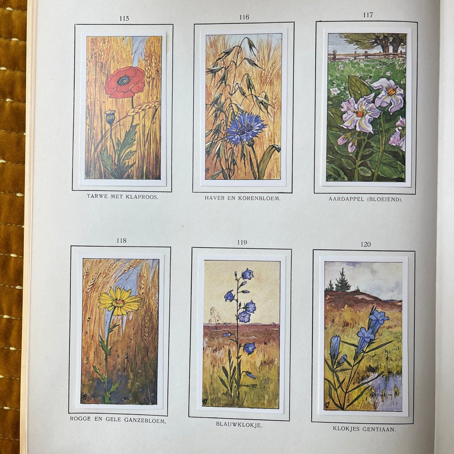 6 Verkade pictures Summer reissue 1975 (115-120)