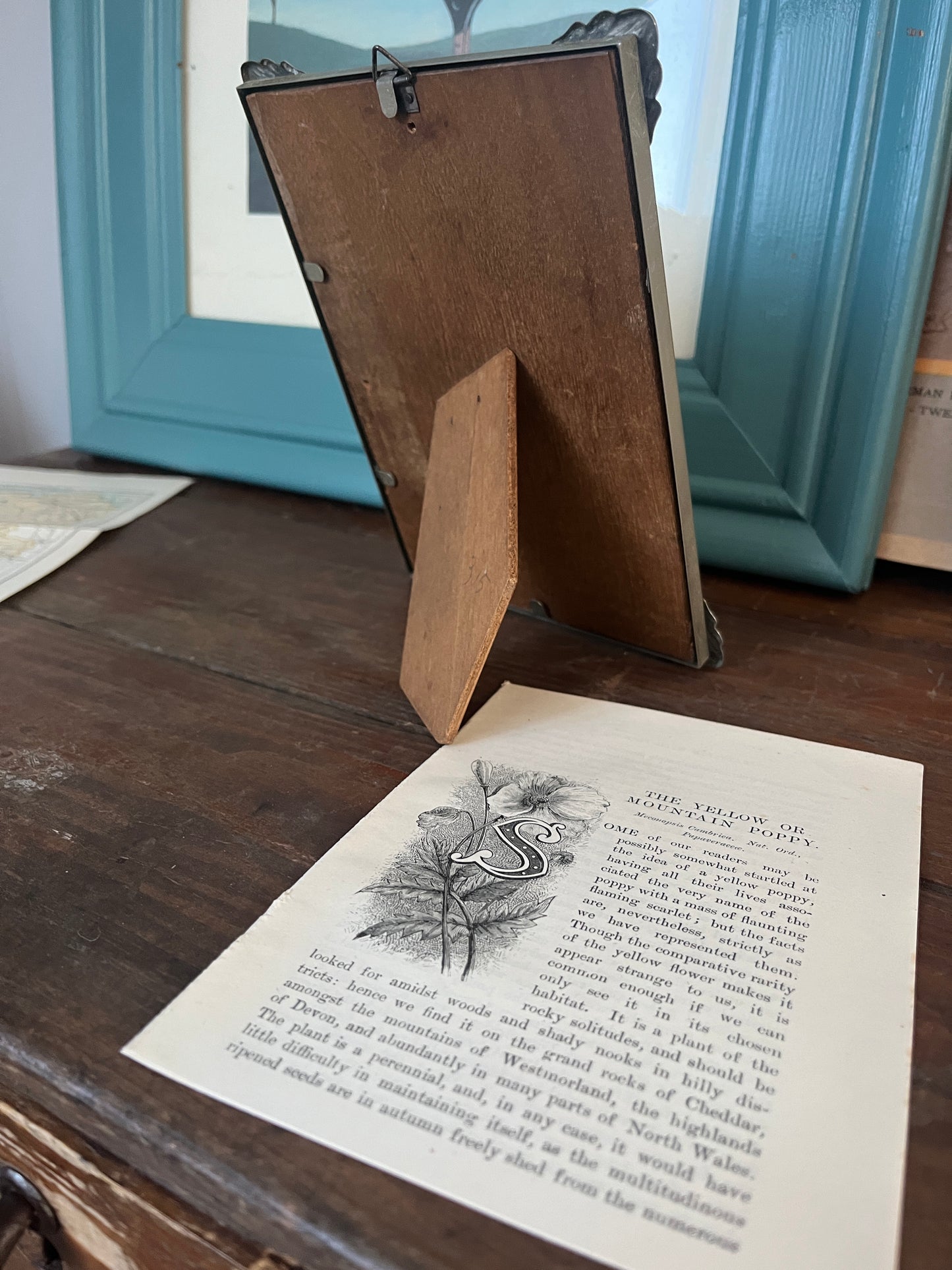 Antiker Art-Deco-Rahmen mit Aufdruck einer gelben Mohnblume aus dem Jahr 1910