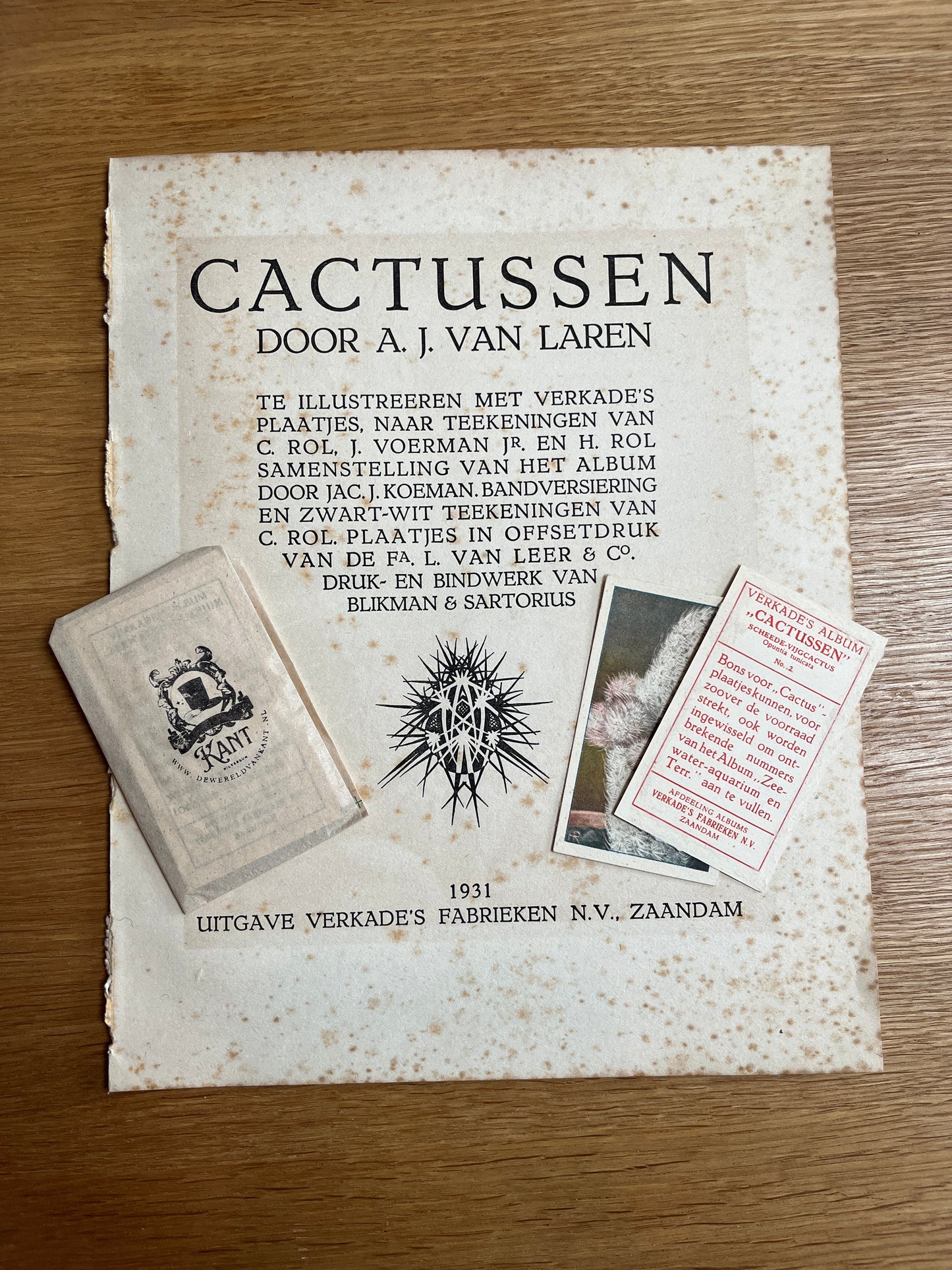 6 Verkade plaatjes Cactussen 1931 (97-102)