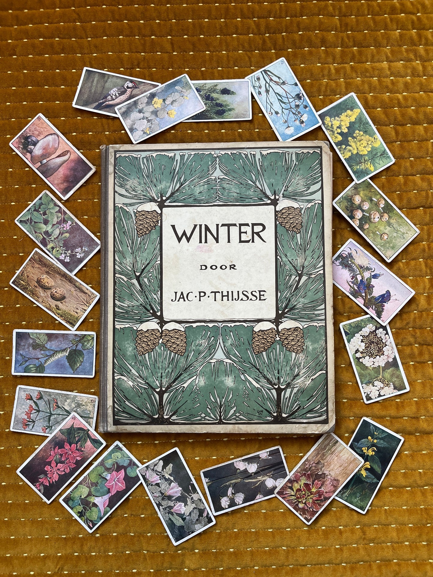 Losse Verkade plaatjes Winter (1909) 121-126