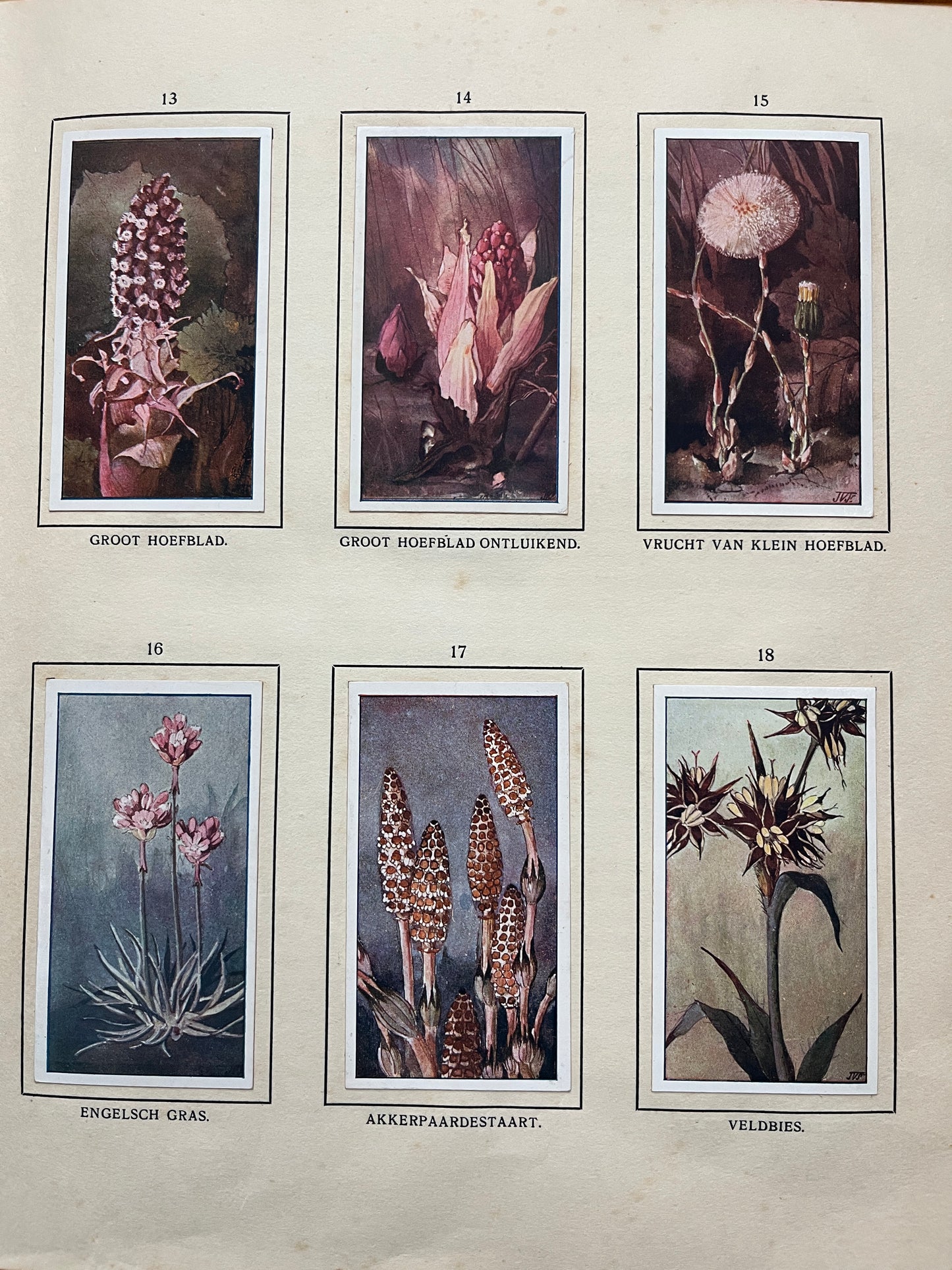 Losse Verkade plaatjes De Bonte Wei (1911) 13-18