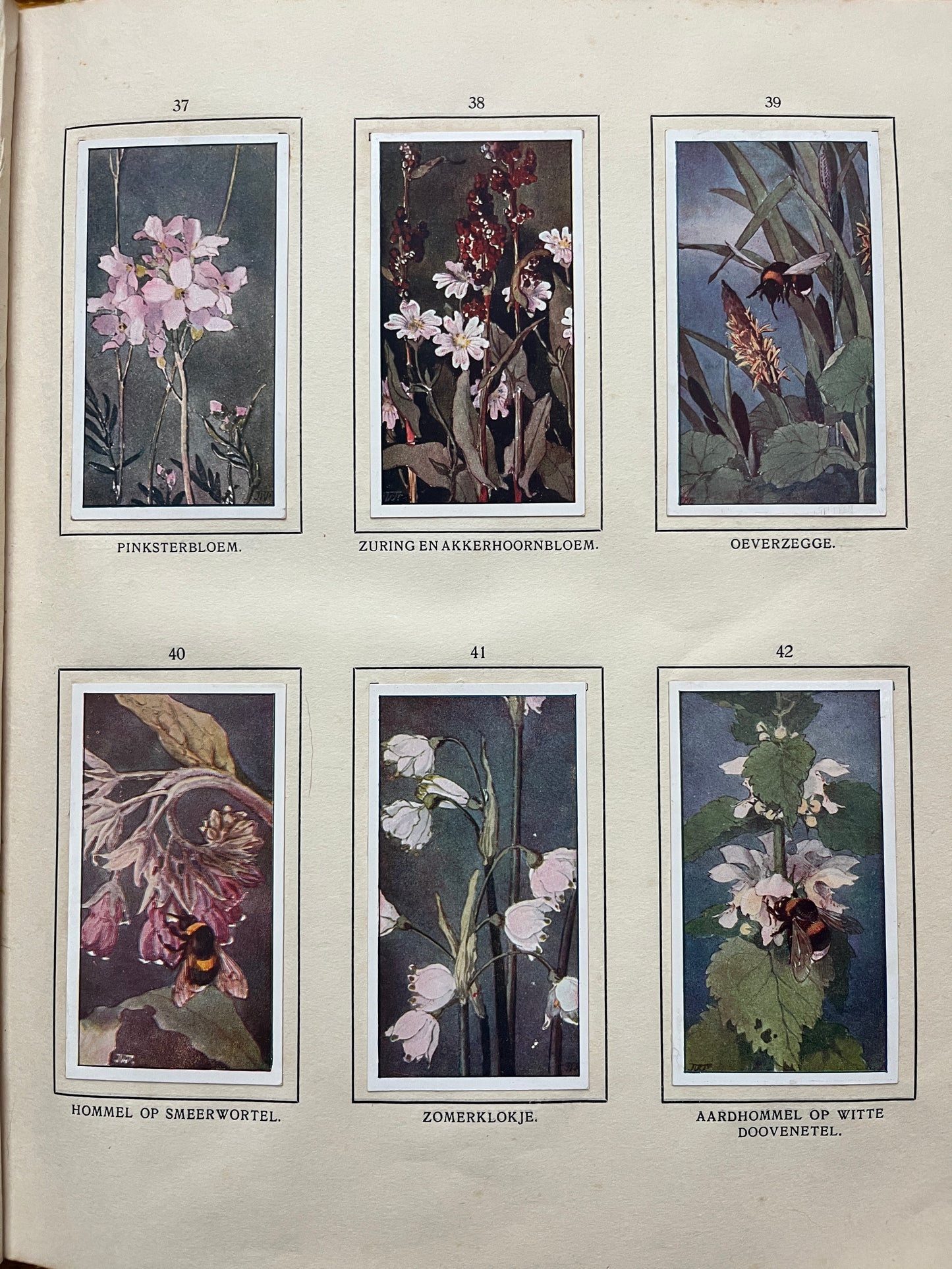 Losse Verkade plaatjes De Bonte Wei (1911) 37-42