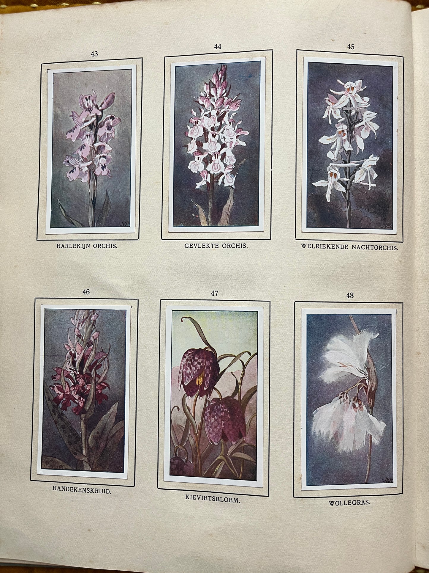 Losse Verkade plaatjes De Bonte Wei (1911) 43-48