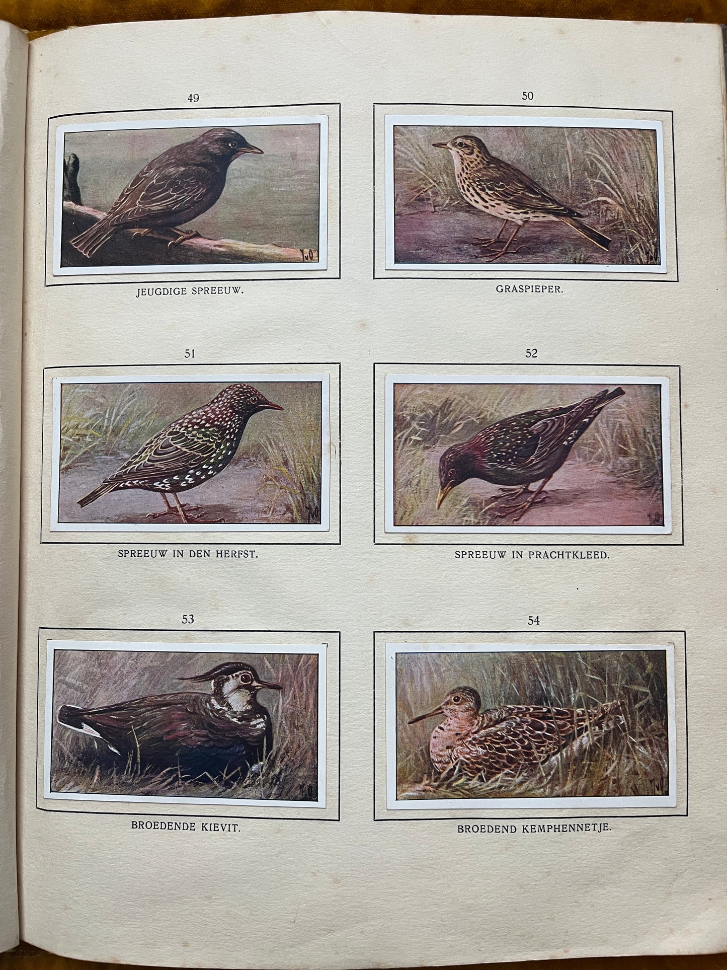 Losse Verkade plaatjes De Bonte Wei (1911) 49-54