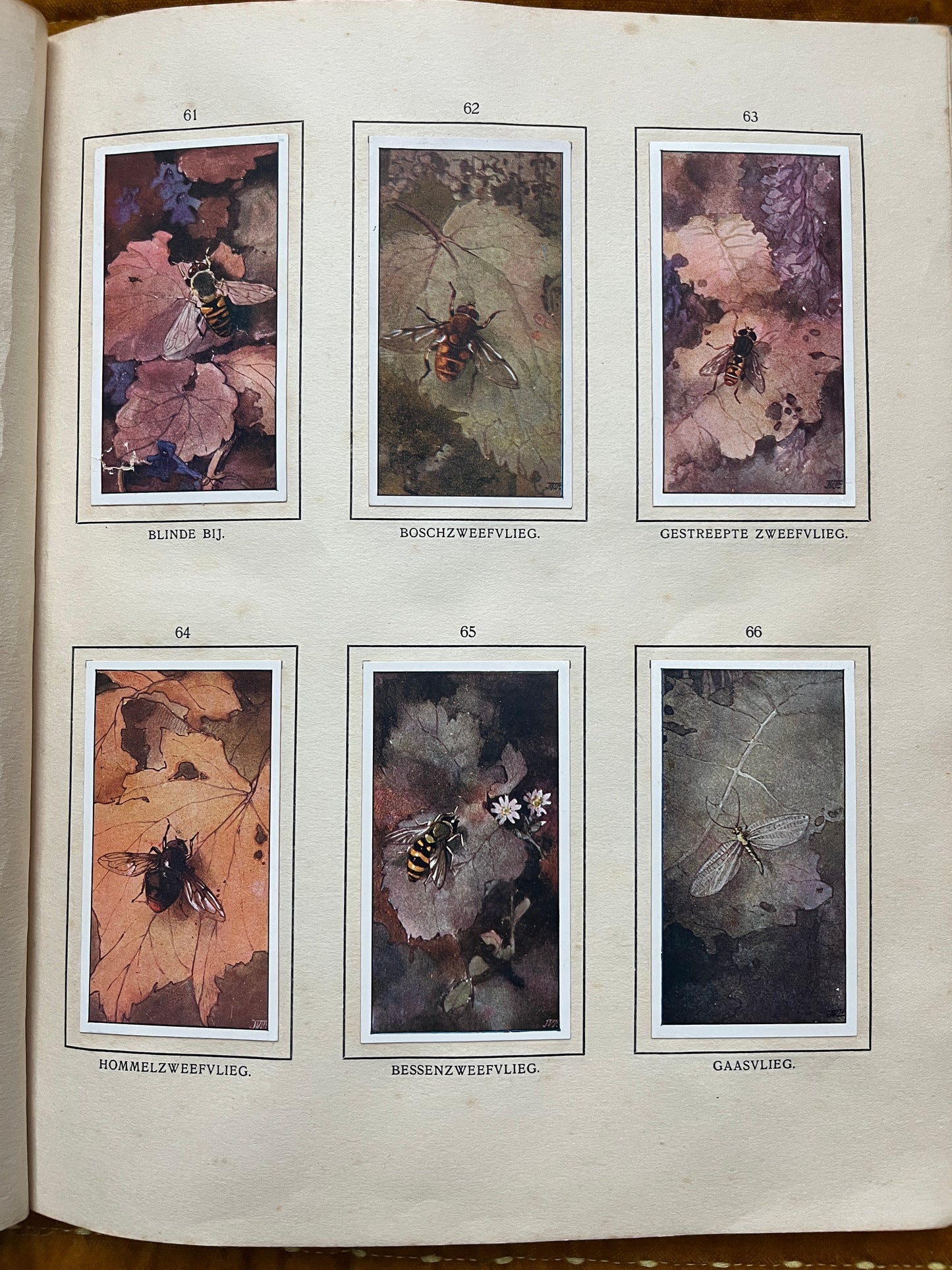 Losse Verkade plaatjes De Bonte Wei (1911) 61-66