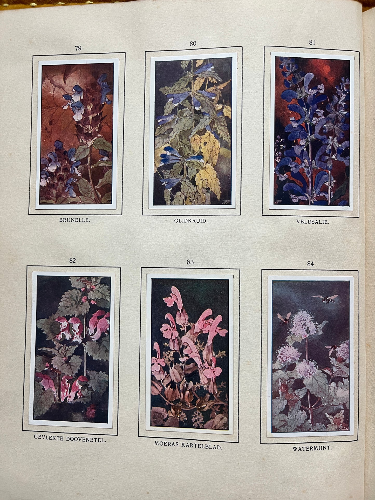 Losse Verkade plaatjes De Bonte Wei (1911) 79-84