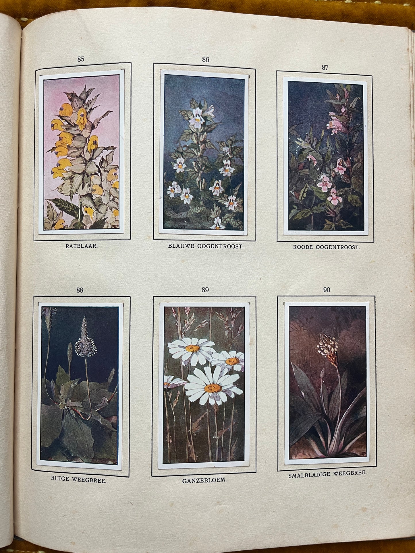 Losse Verkade plaatjes De Bonte Wei (1911) 85-90