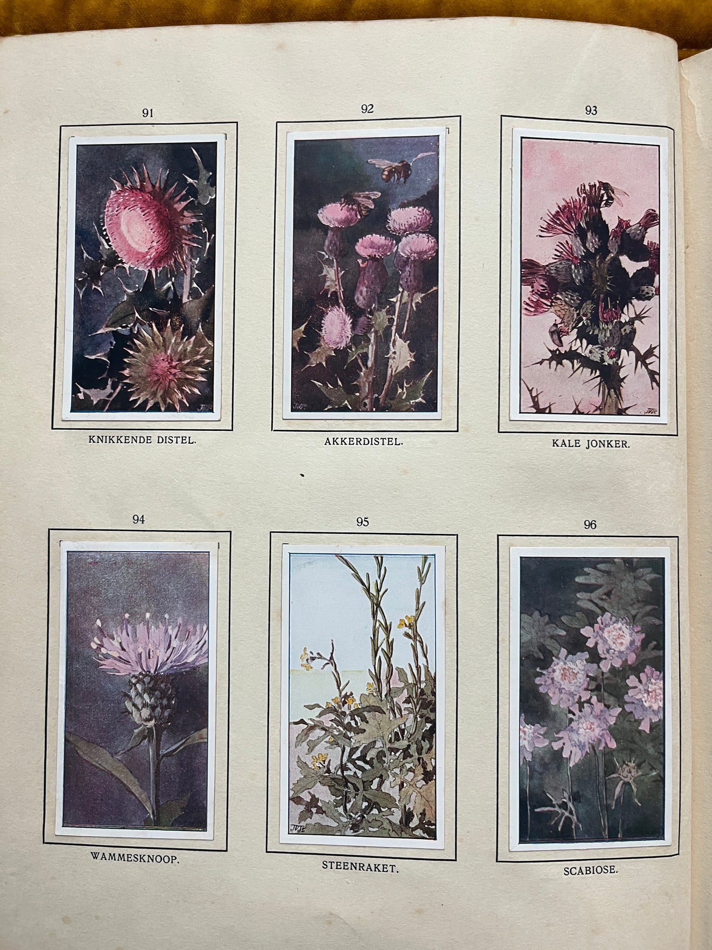 Losse Verkade plaatjes De Bonte Wei (1911) 91-96