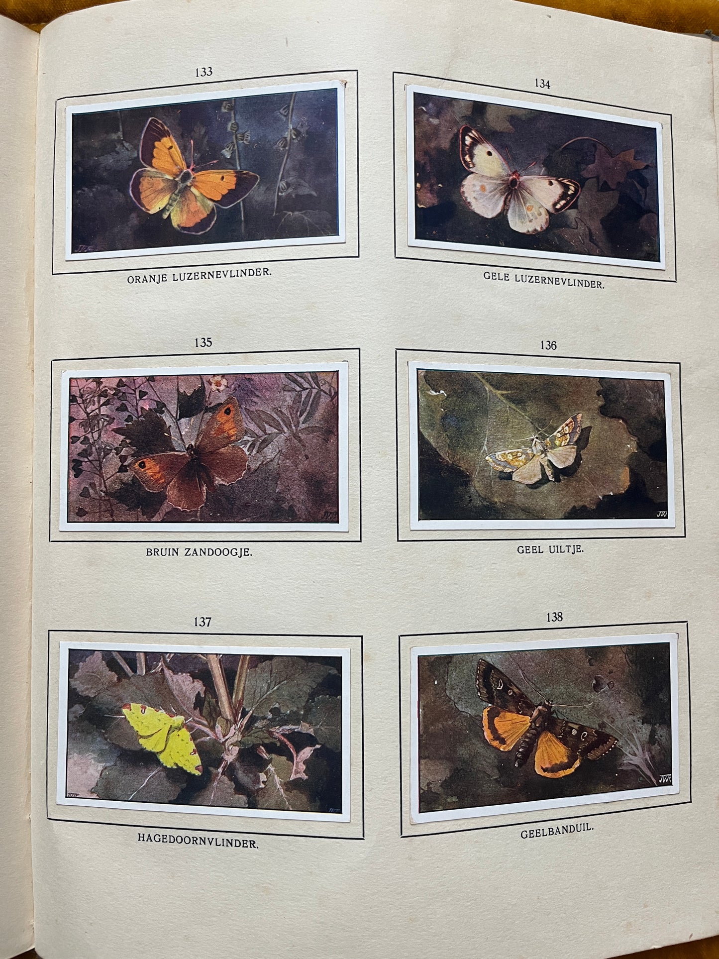 Losse Verkade plaatjes De Bonte Wei (1911) 133-138