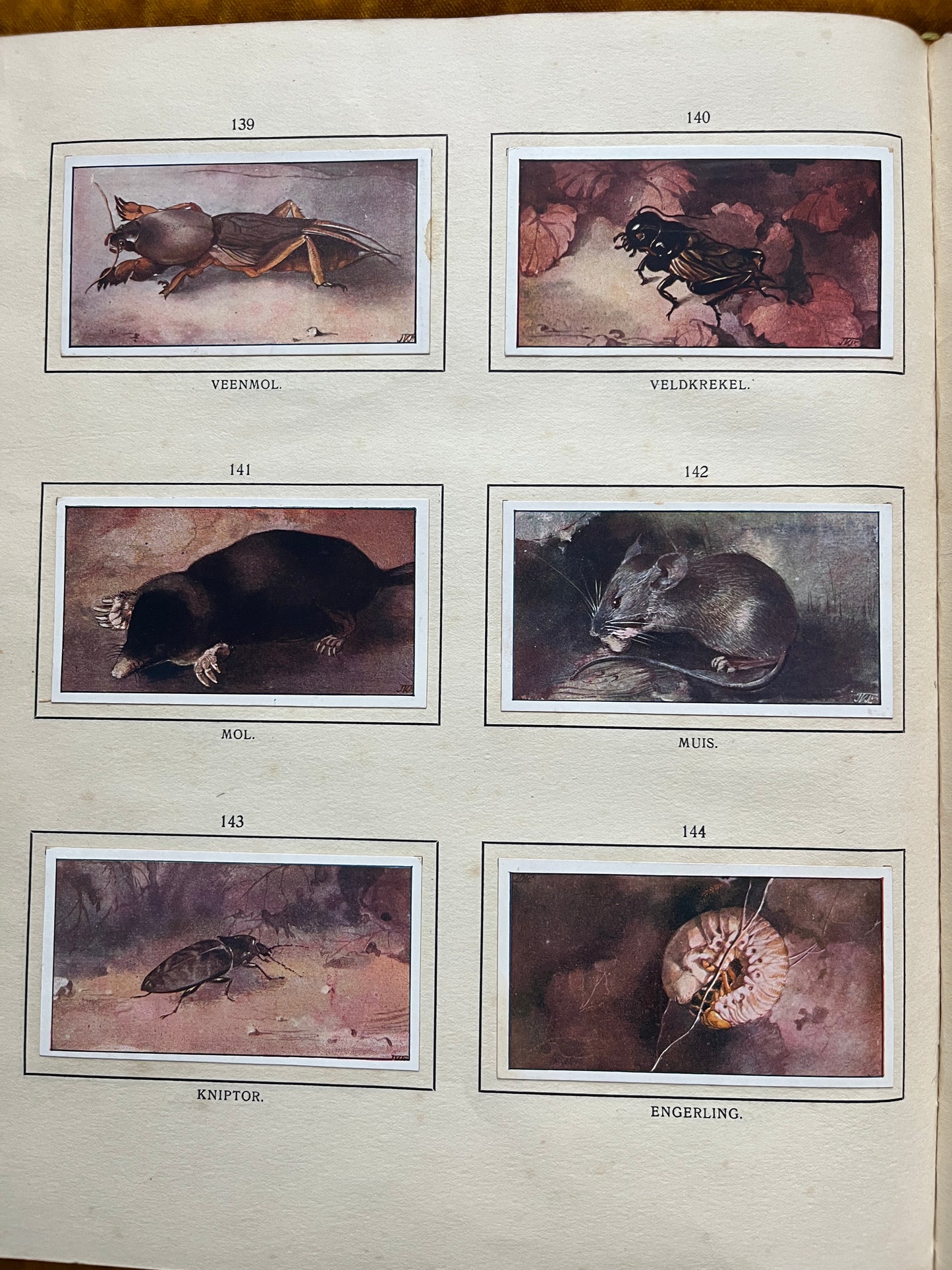 Losse Verkade plaatjes De Bonte Wei (1911) 139-144