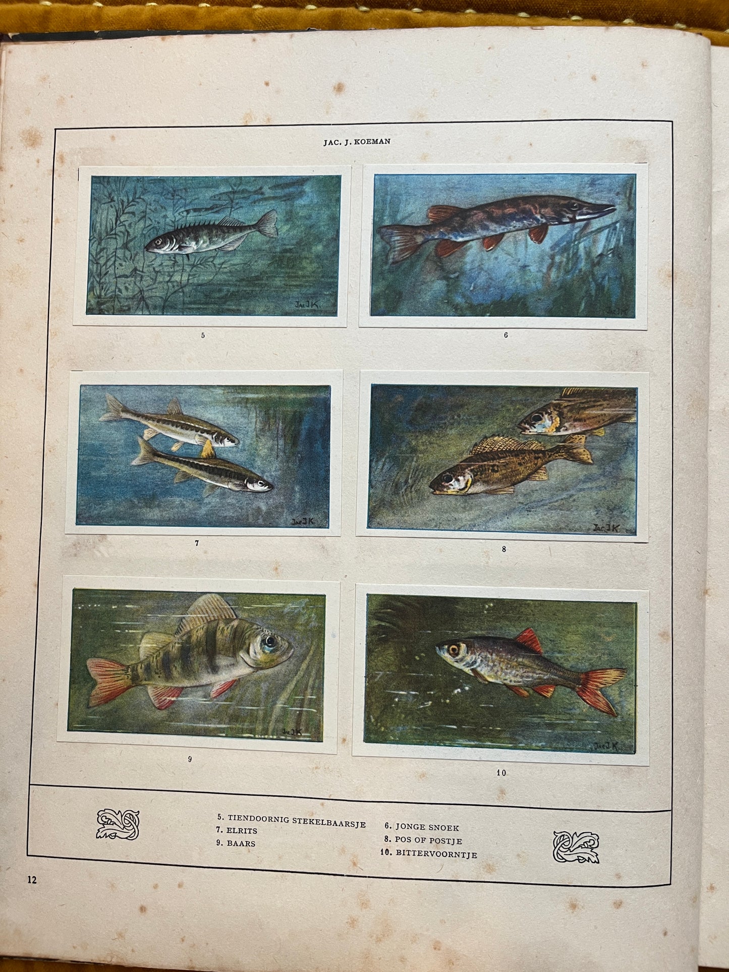 Losse Verkade plaatjes Mijn Aquarium (1925) 5-10