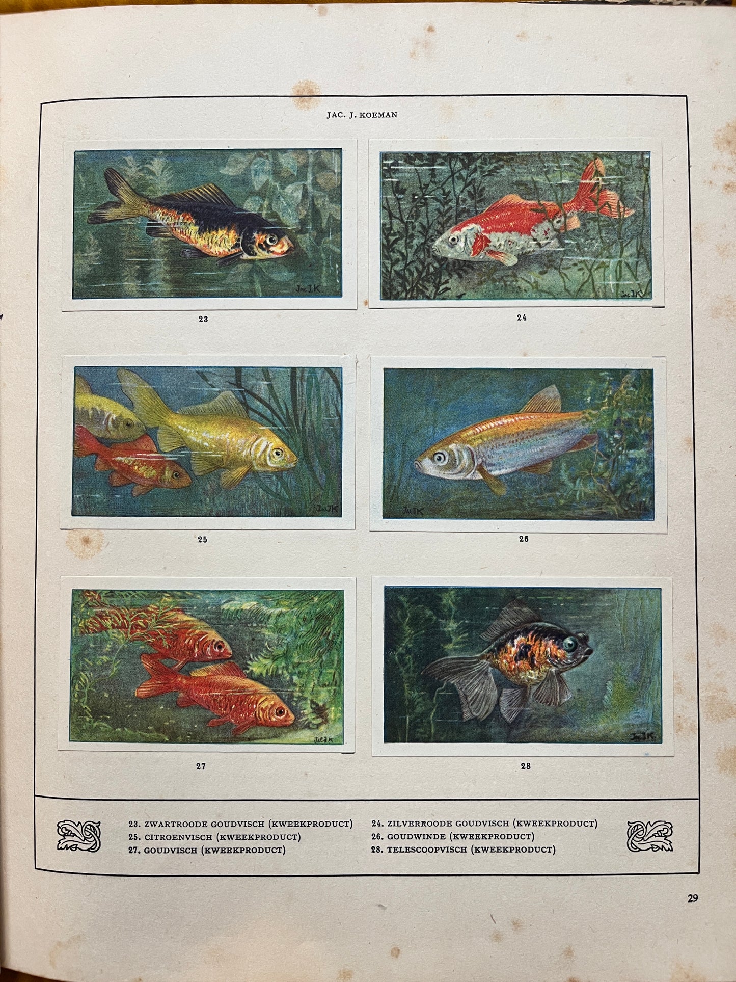 Losse Verkade plaatjes Mijn Aquarium (1925) 23-28