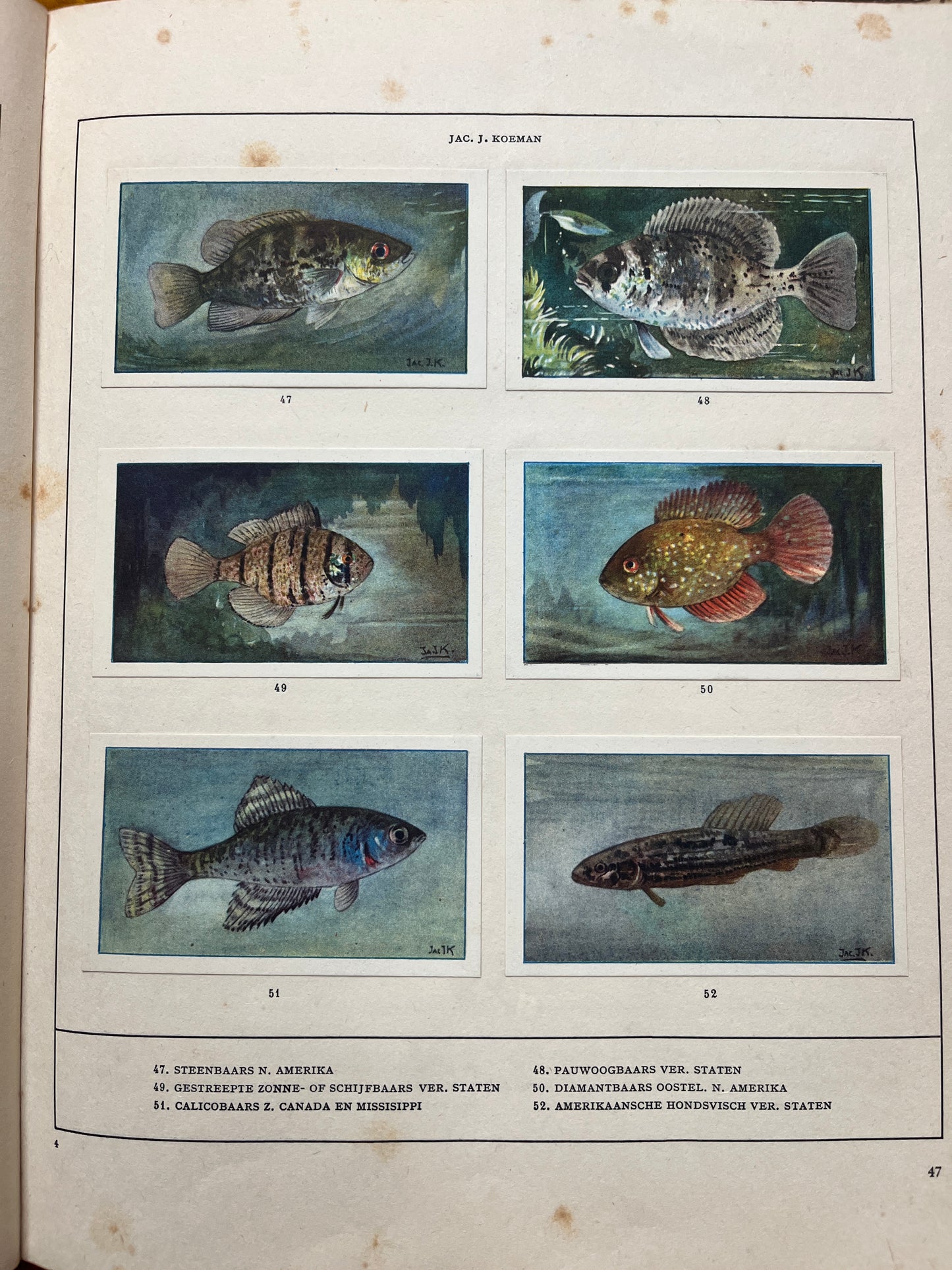 Losse Verkade plaatjes Mijn Aquarium (1925) 47-52