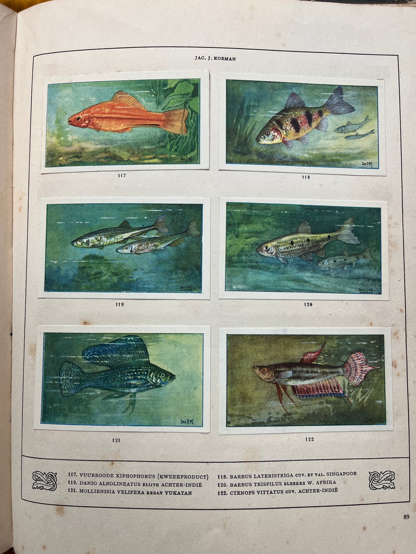 Losse Verkade plaatjes Mijn Aquarium (1925) 117-122