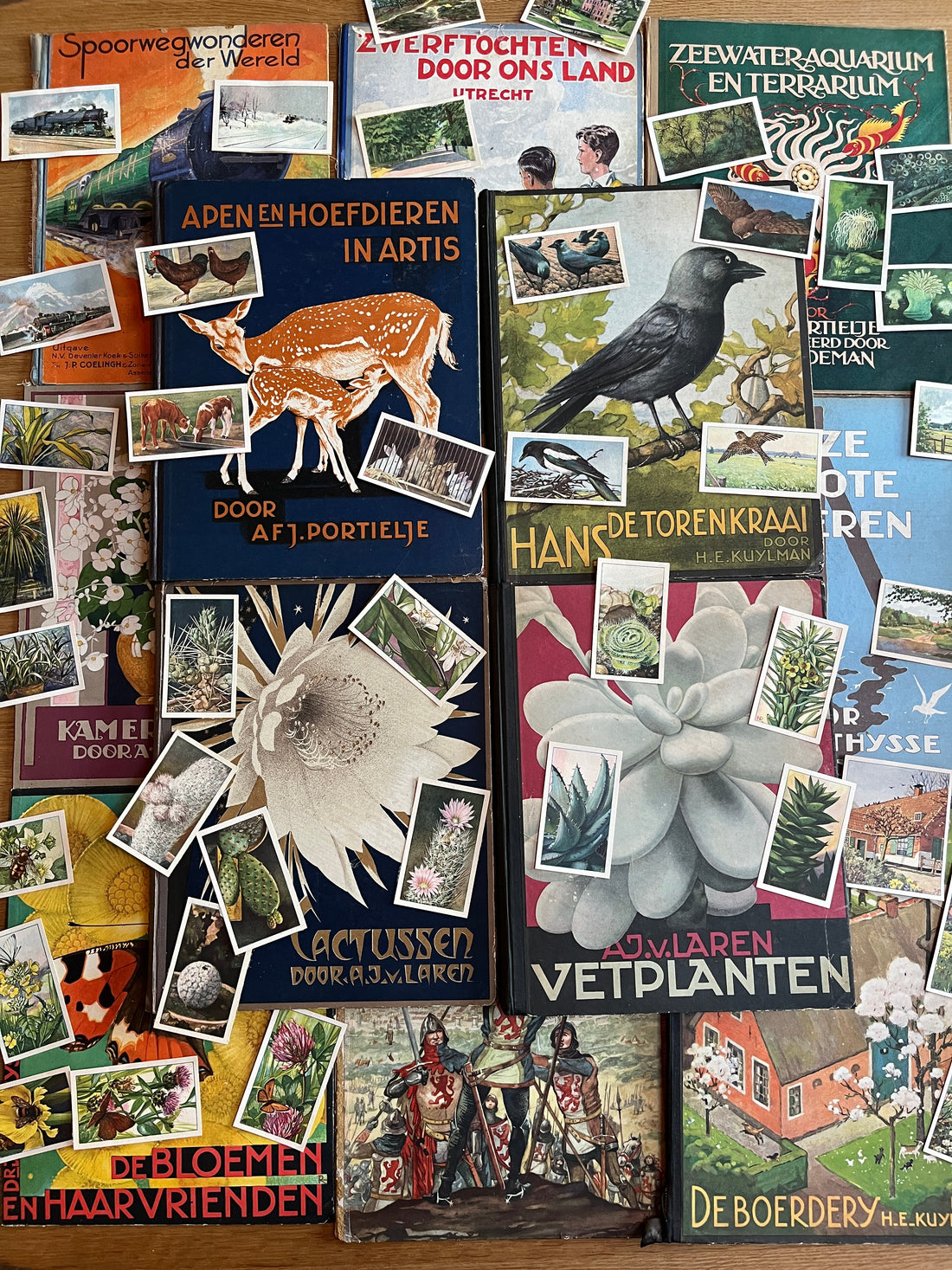 Geschiedenis van Verkade plaatjes albums