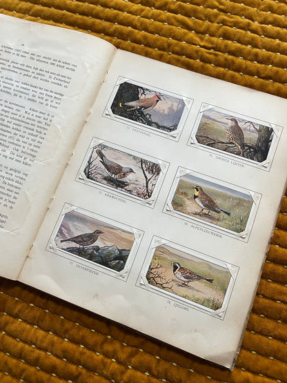 Winter Verkade Plaatjesalbum 1909