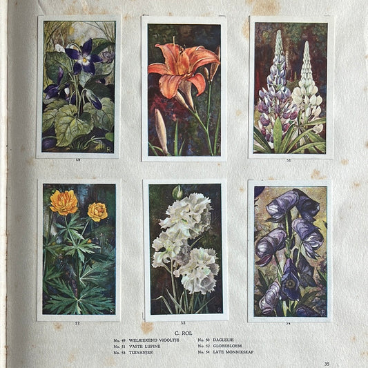 6 Verkade plaatjes De bloemen in onze tuin 1926 (49-54)