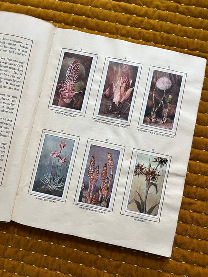 Das Bonte Wei Verkade-Bilderalbum 1911