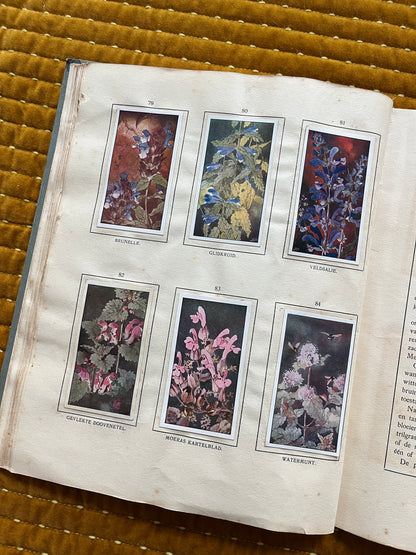 Das Bonte Wei Verkade-Bilderalbum 1911