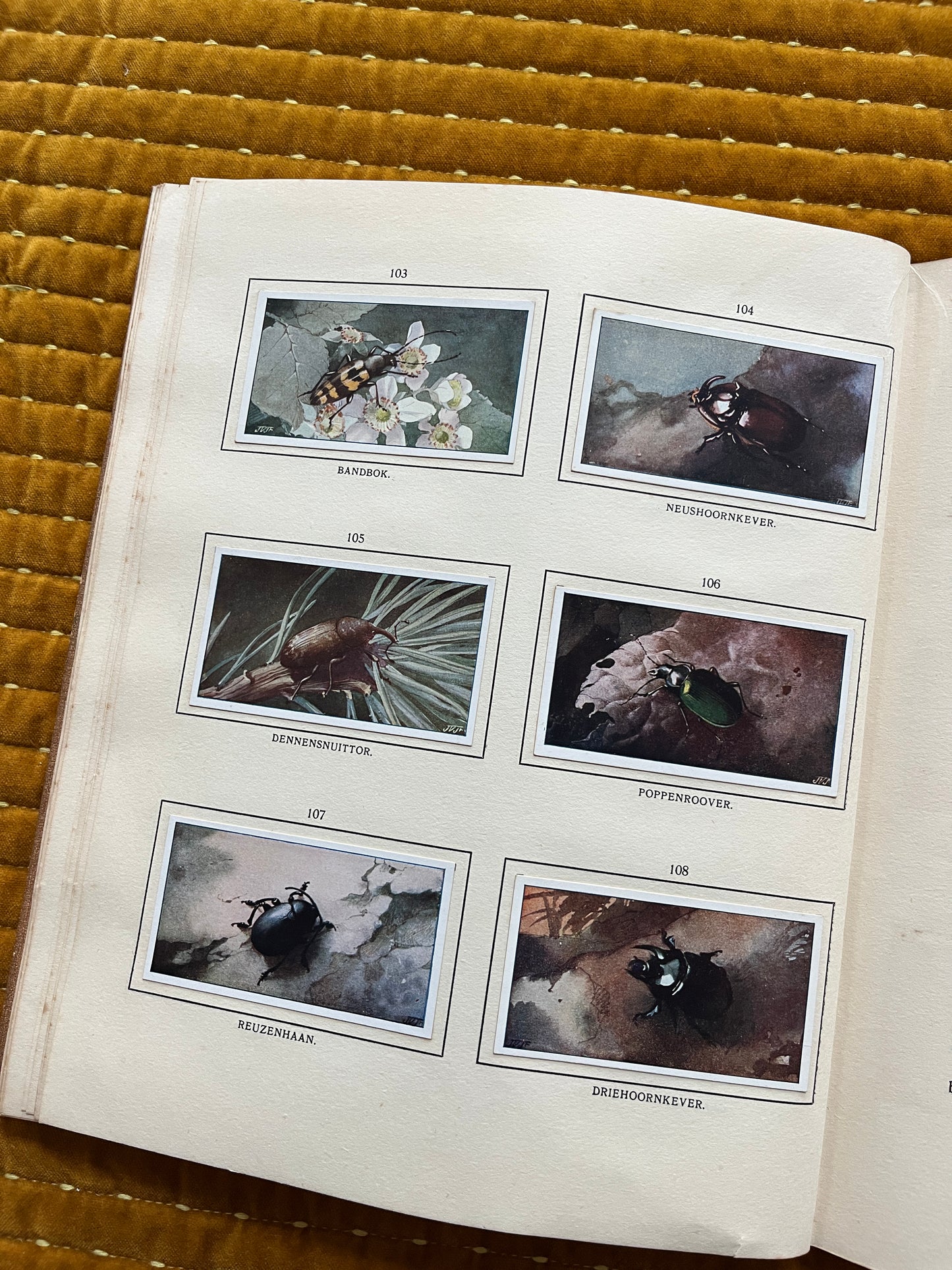 Bosch en Heide Verkade Plaatjesalbum 1913