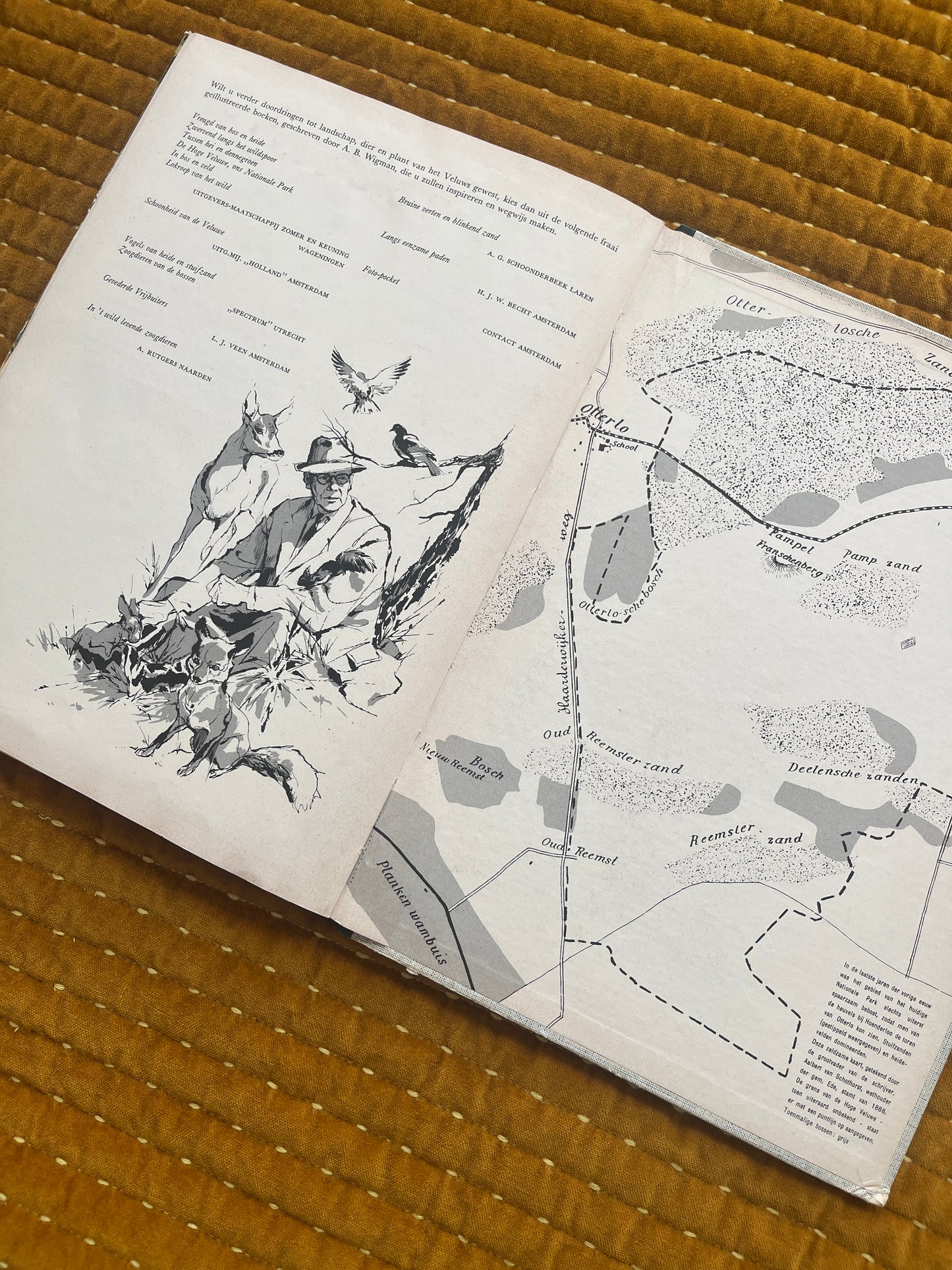 So lebt die Hoge Veluwe – Fotoalbum 1960