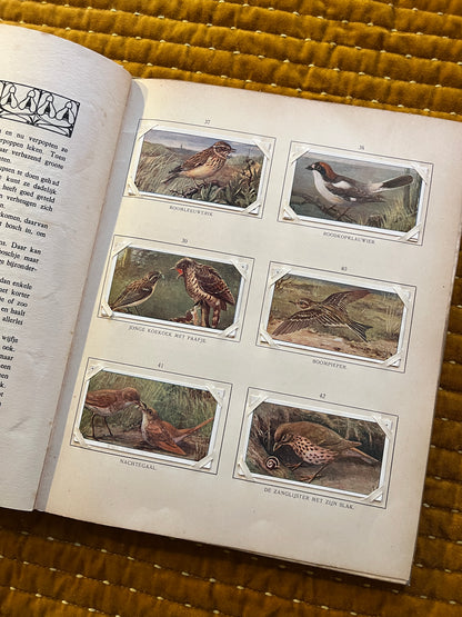 Blonde Duinen Verkade Plaatjesalbum 1910